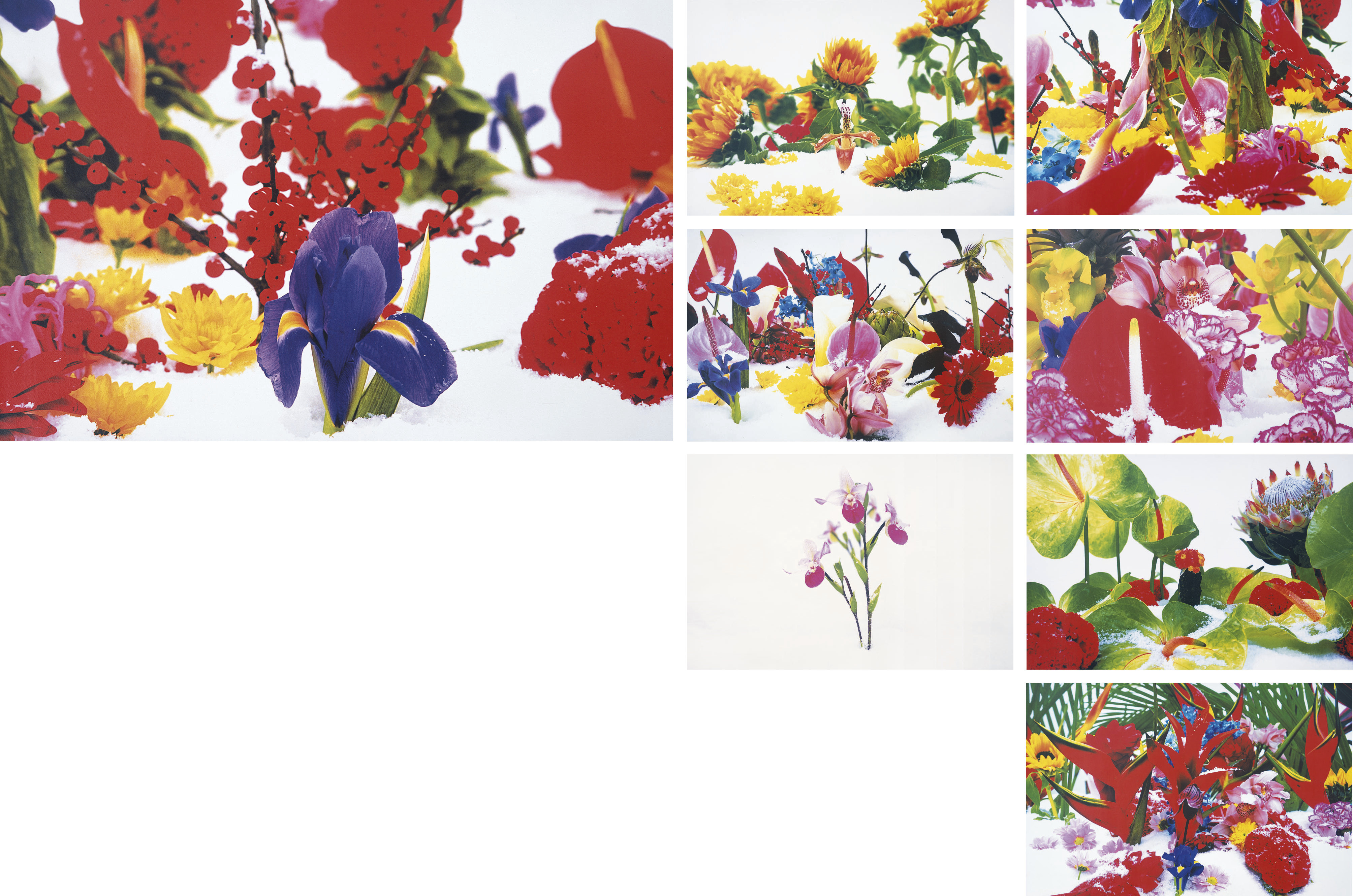 Marc Quinn — Зимний сад