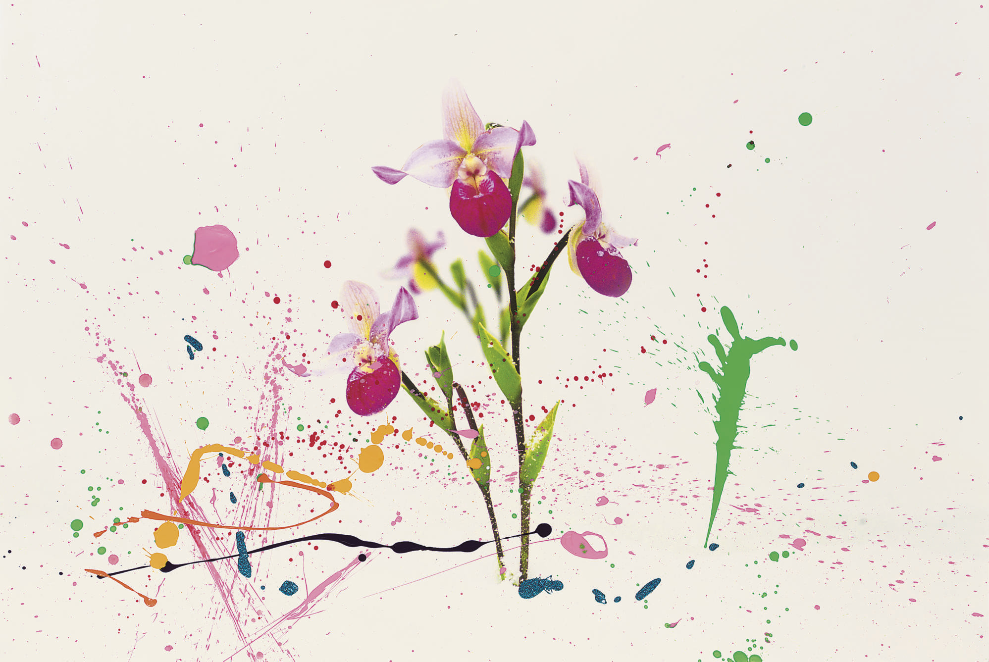 Marc Quinn — Марк Куинн