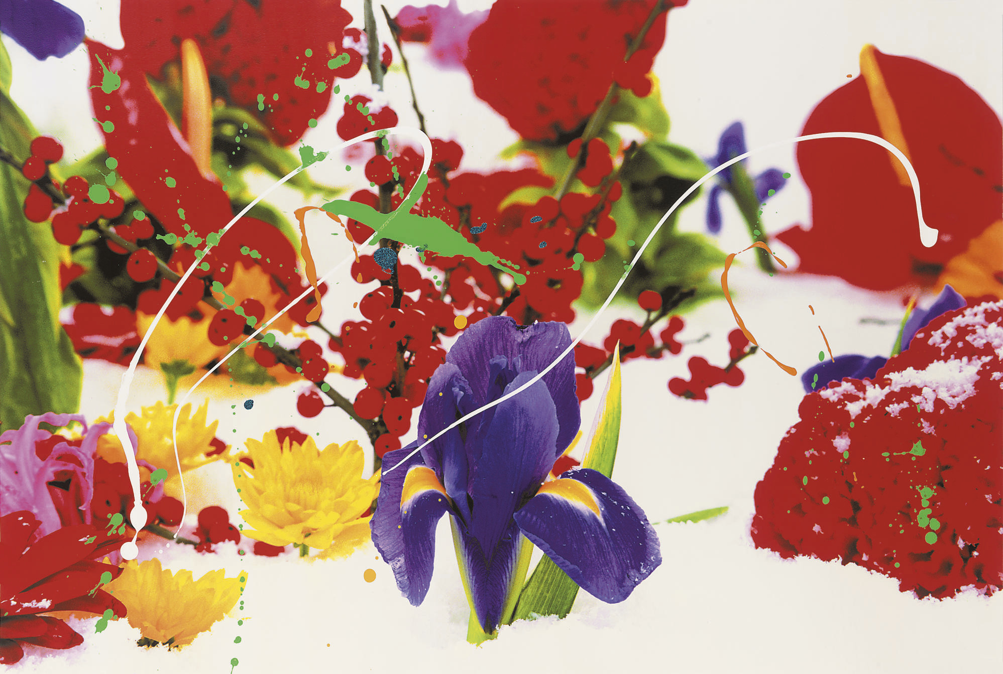 Marc Quinn — Без названия 06