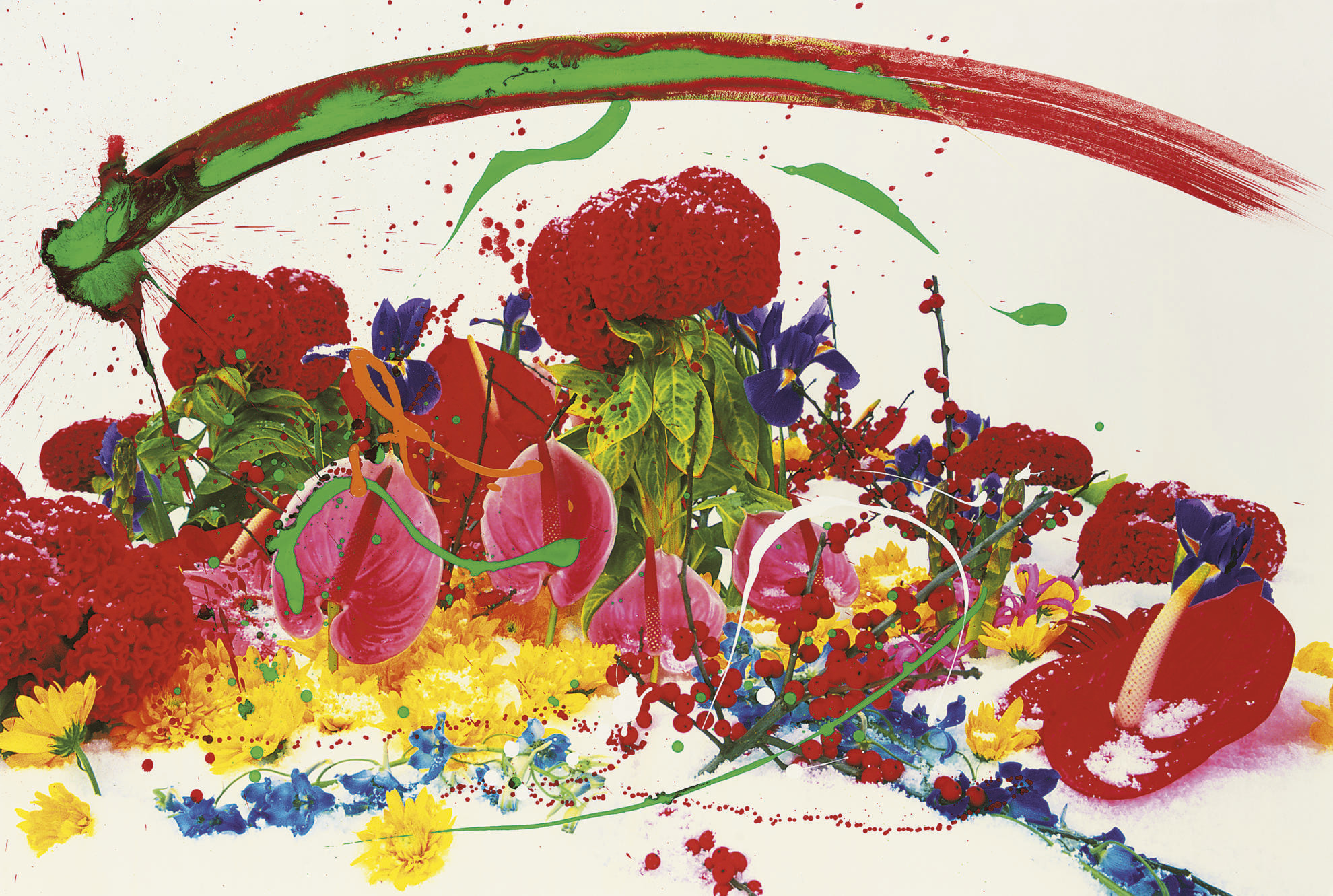 Marc Quinn — Без названия 09