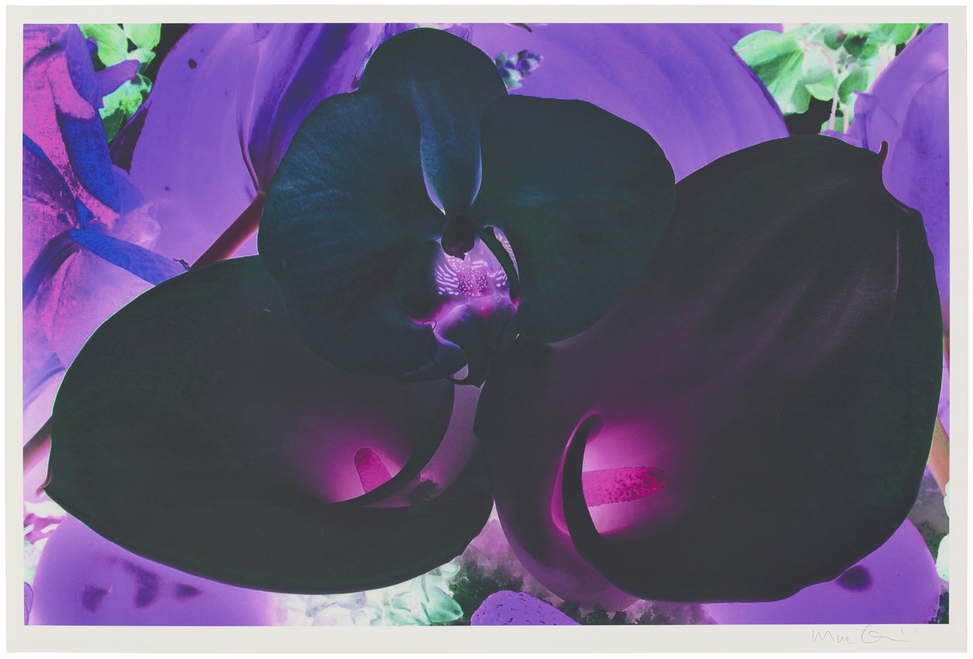 Marc Quinn — Фото 6, из фильма "На дальних окраинах Вселенной"