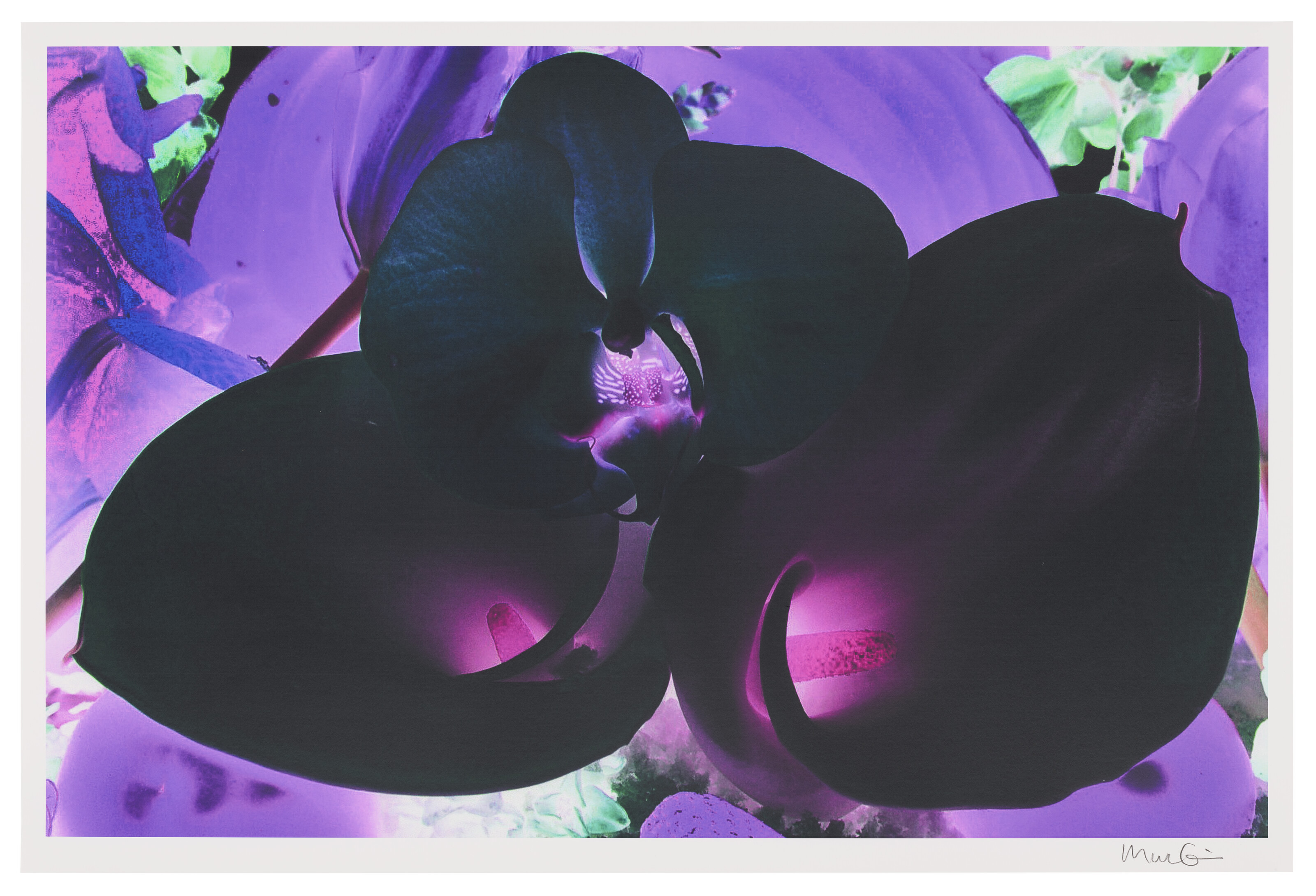 Marc Quinn — Фото 6, из фильма "На дальних окраинах Вселенной"