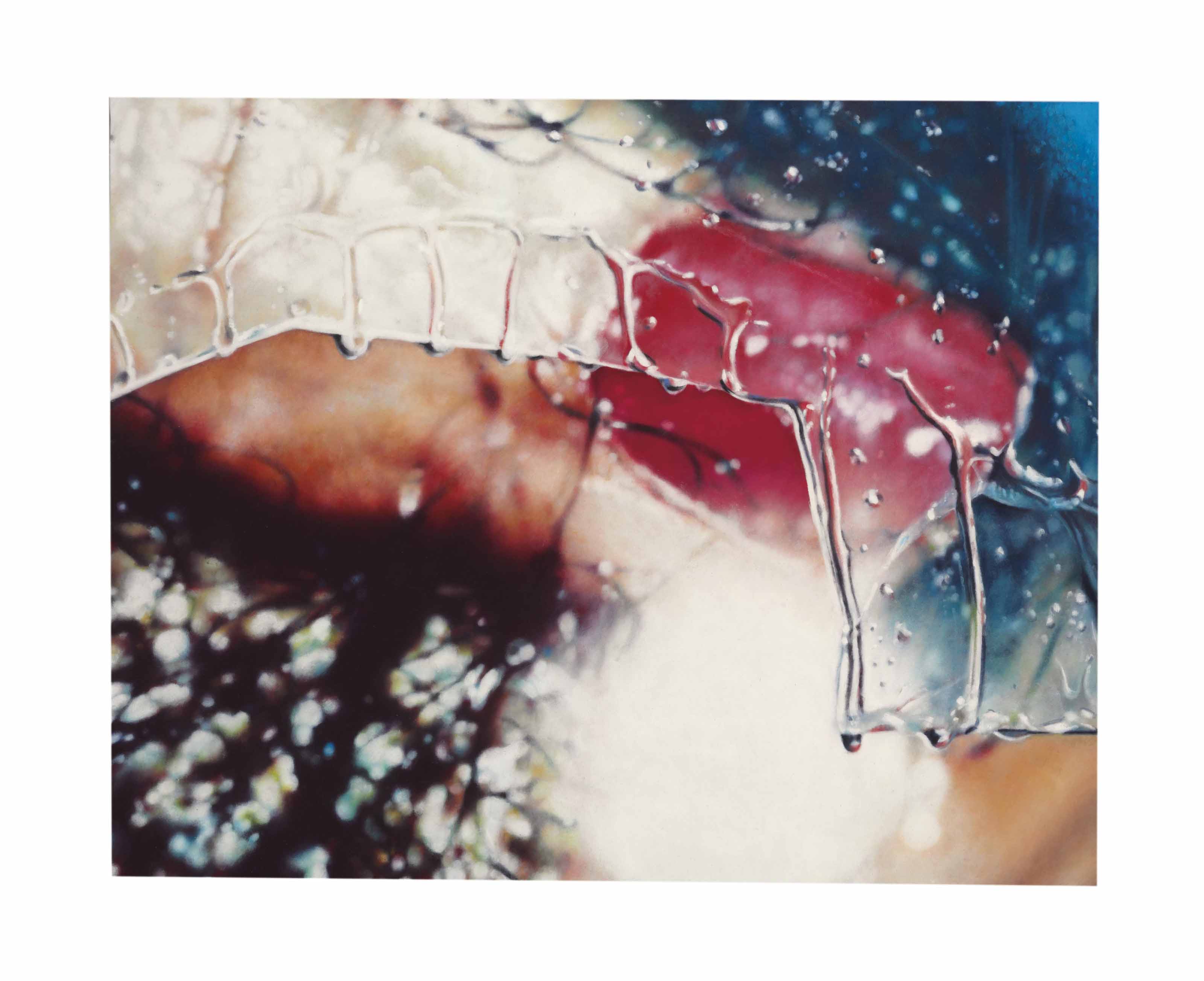 Marilyn Minter — Расколотый