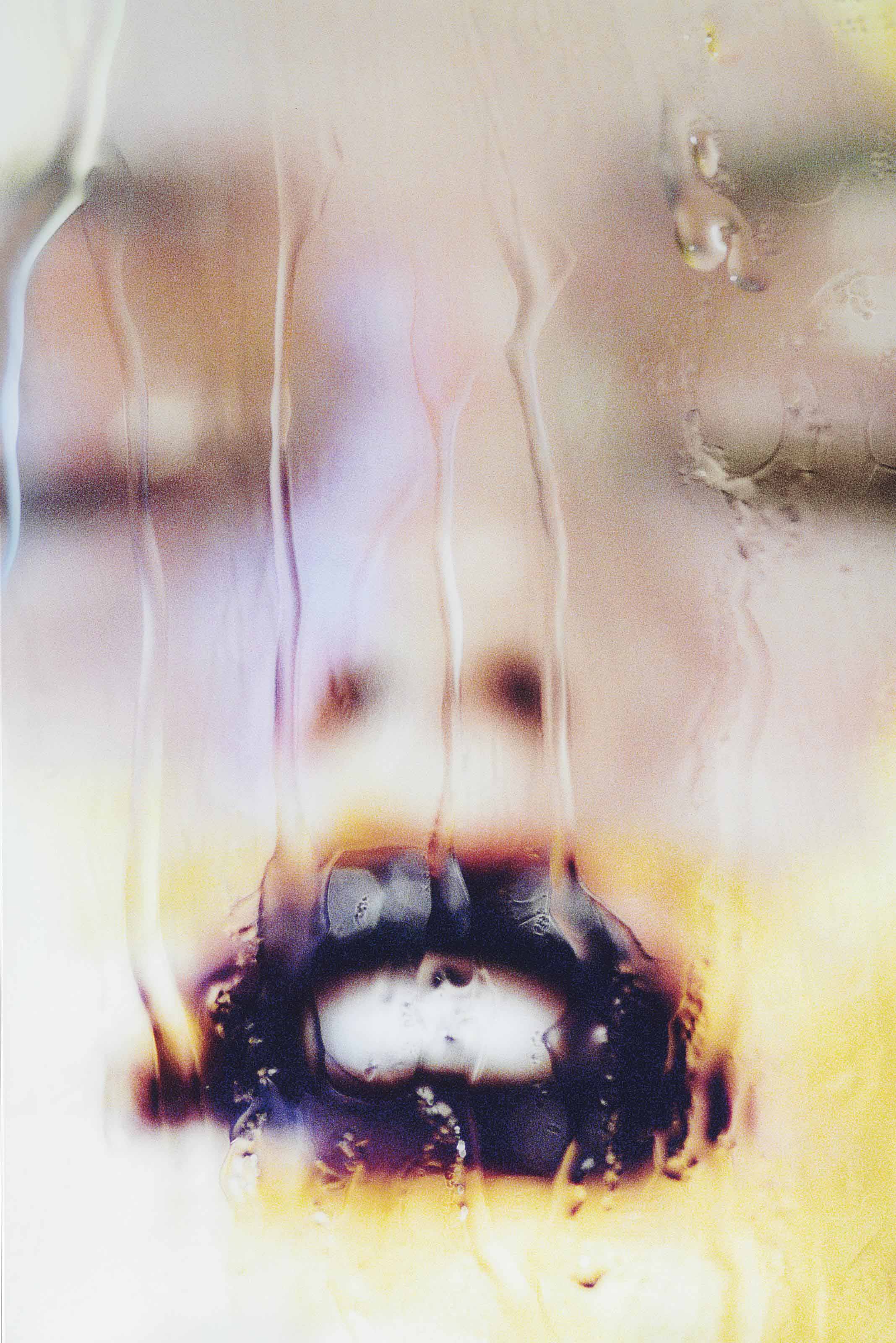 Marilyn Minter — Черная орхидея