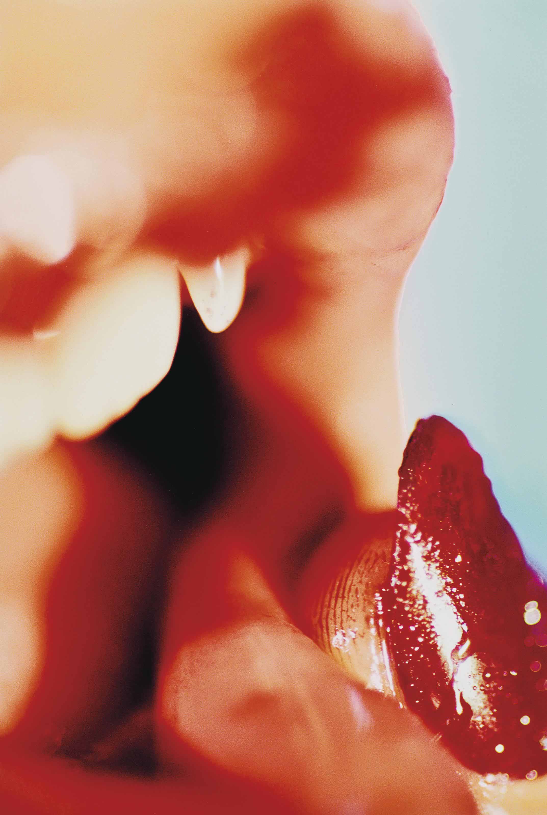 Marilyn Minter — Вампир