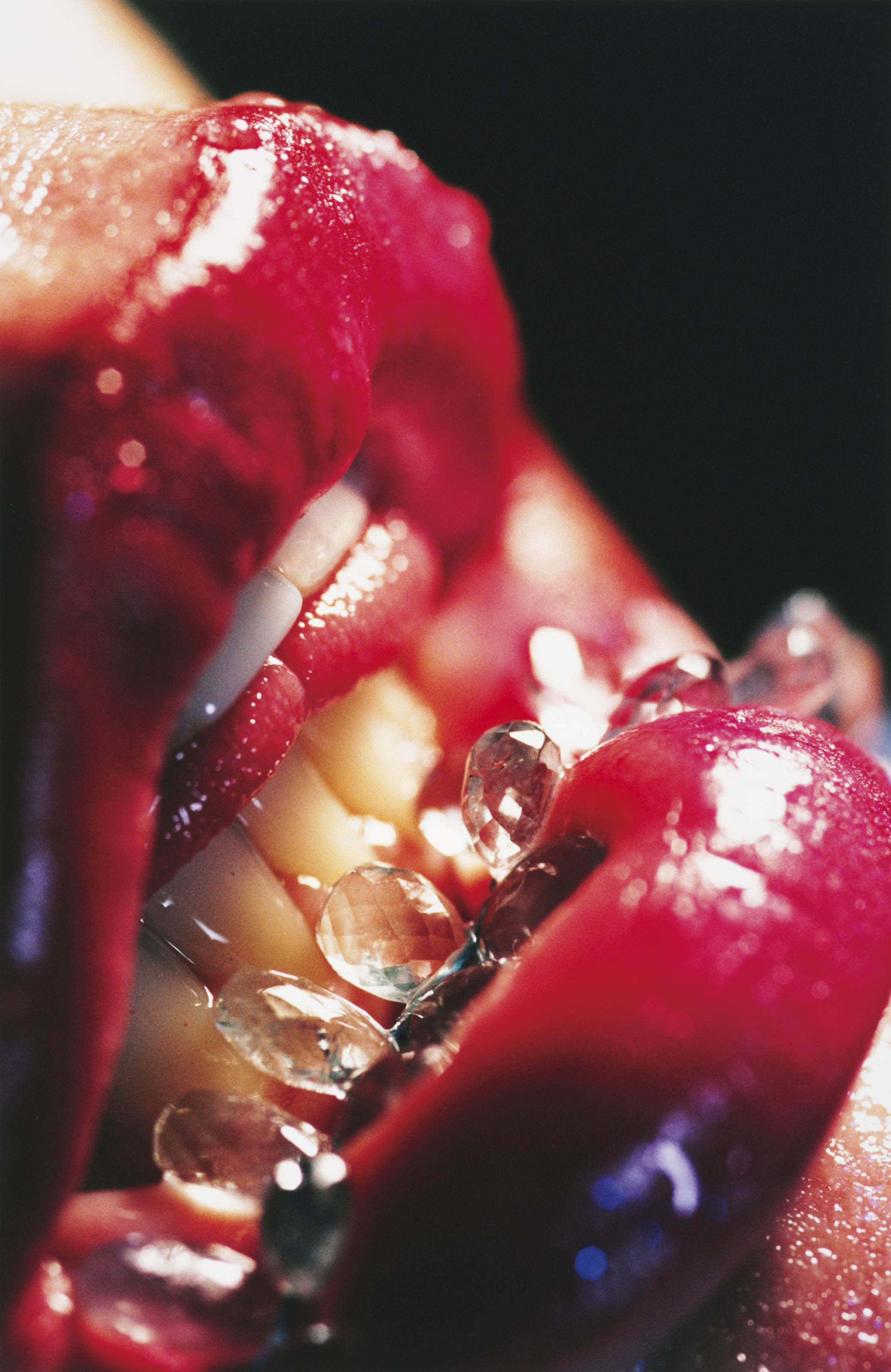 Marilyn Minter — Уздечка