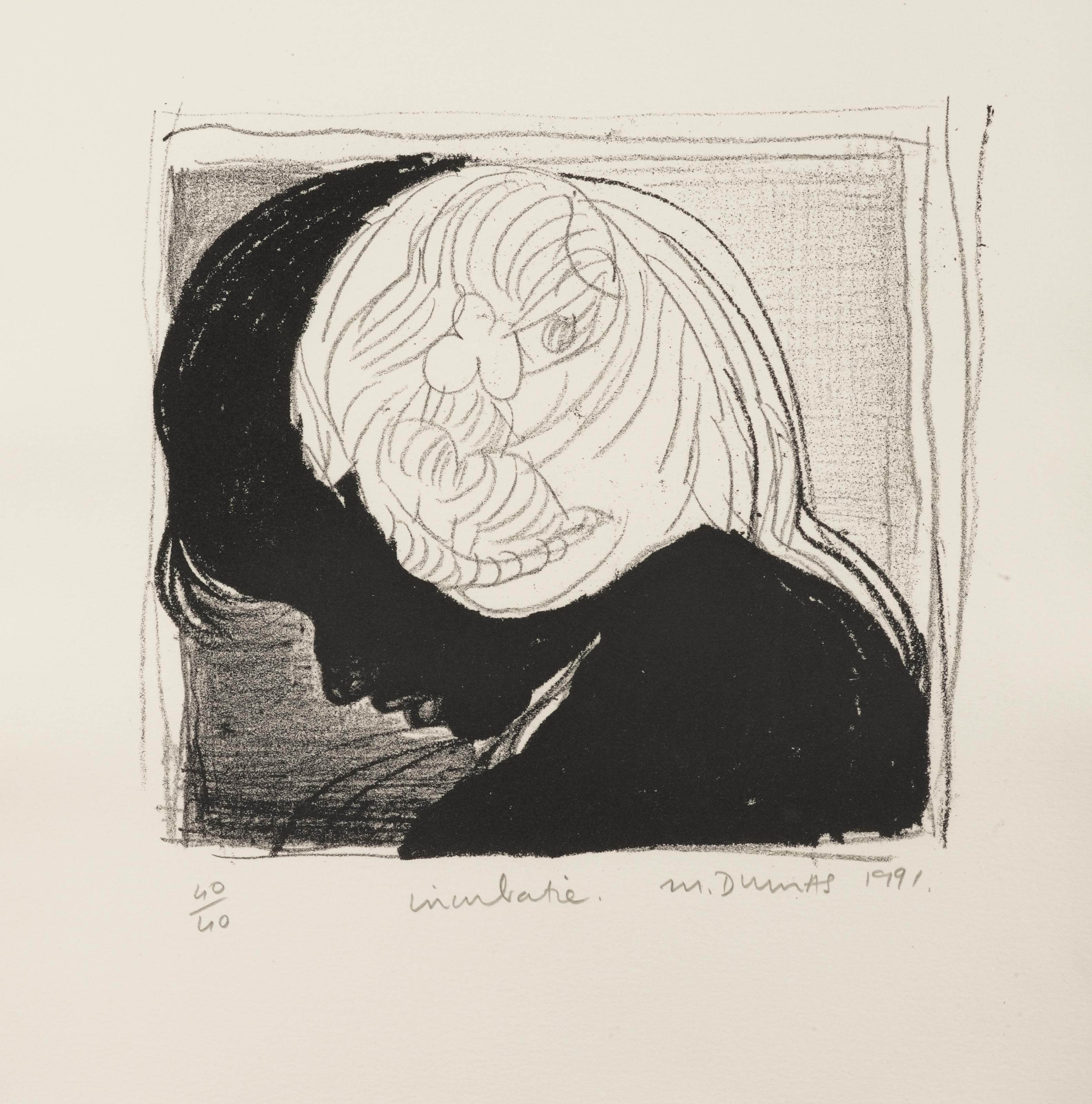Marlene Dumas — Инкубация