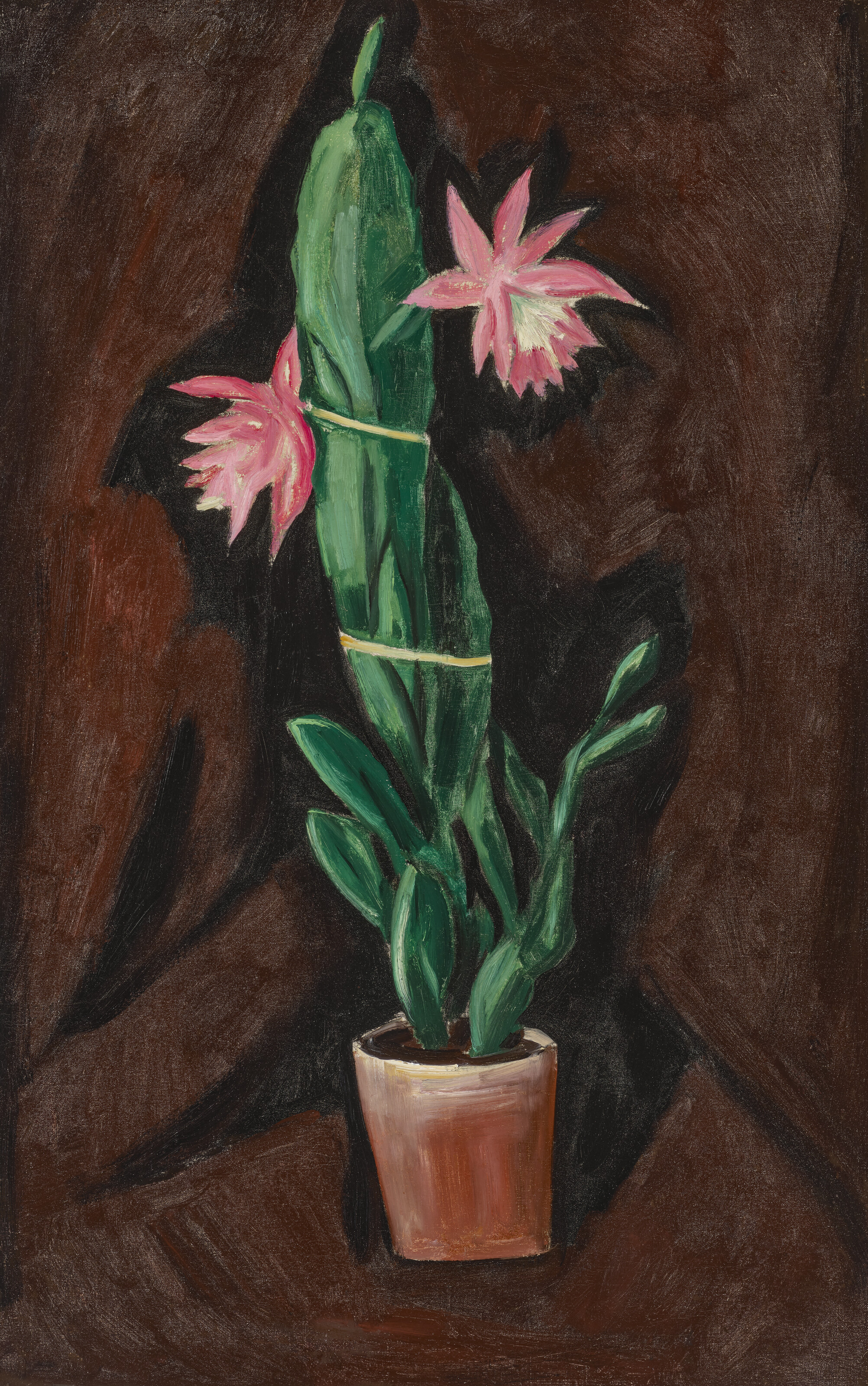 Marsden Hartley — Вишневый кактус