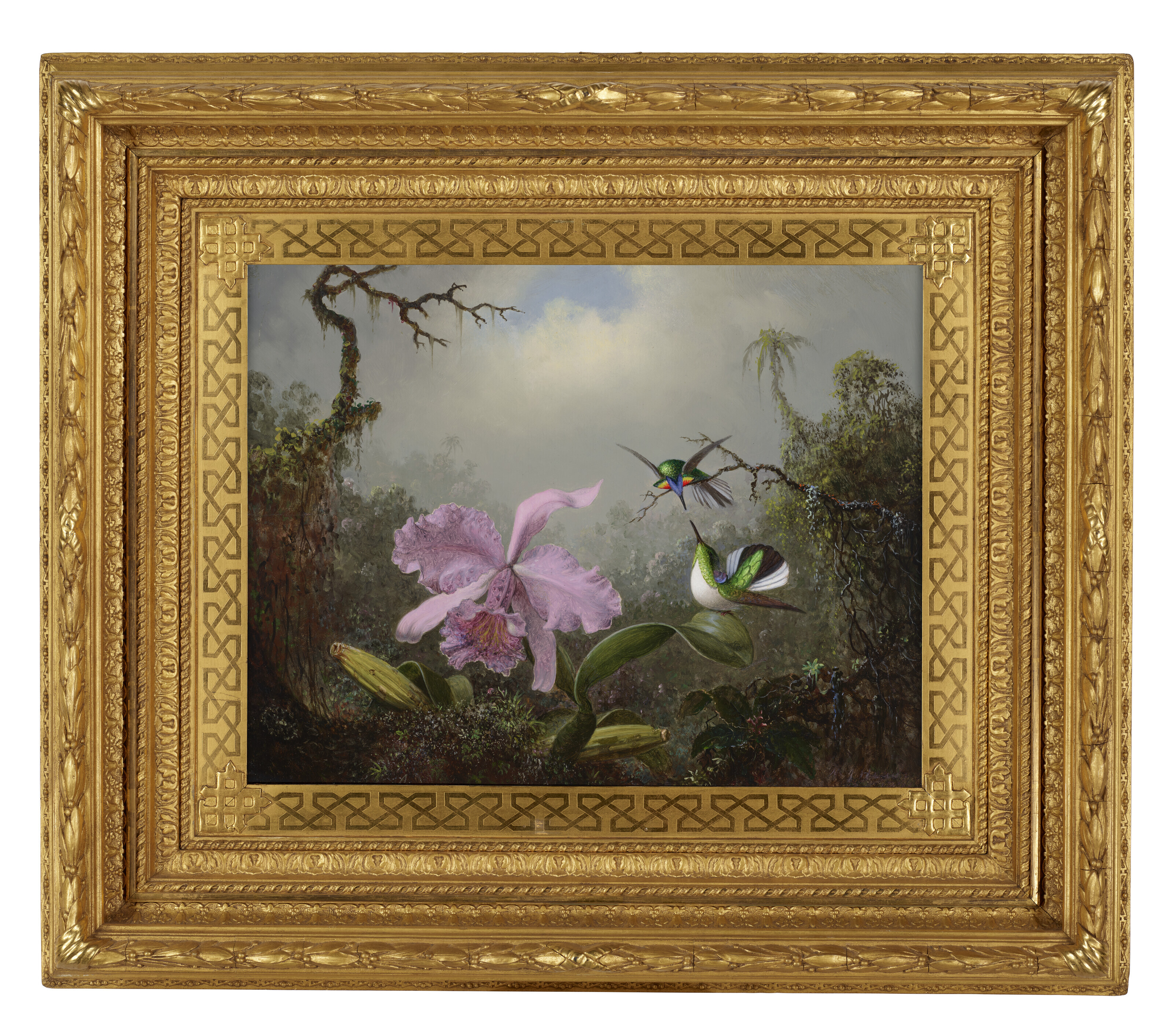 Martin Johnson Heade — Орхидея каттлея с двумя бразильскими колибри, изображение 2