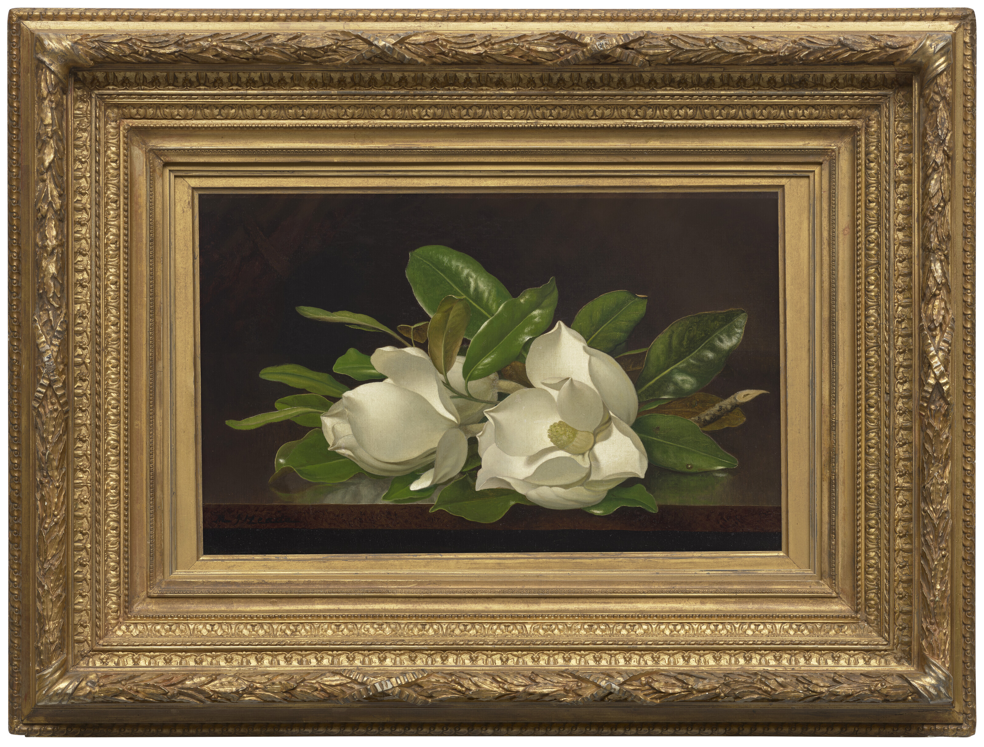 Martin Johnson Heade — Магнолии на блестящем столе, изображение 2