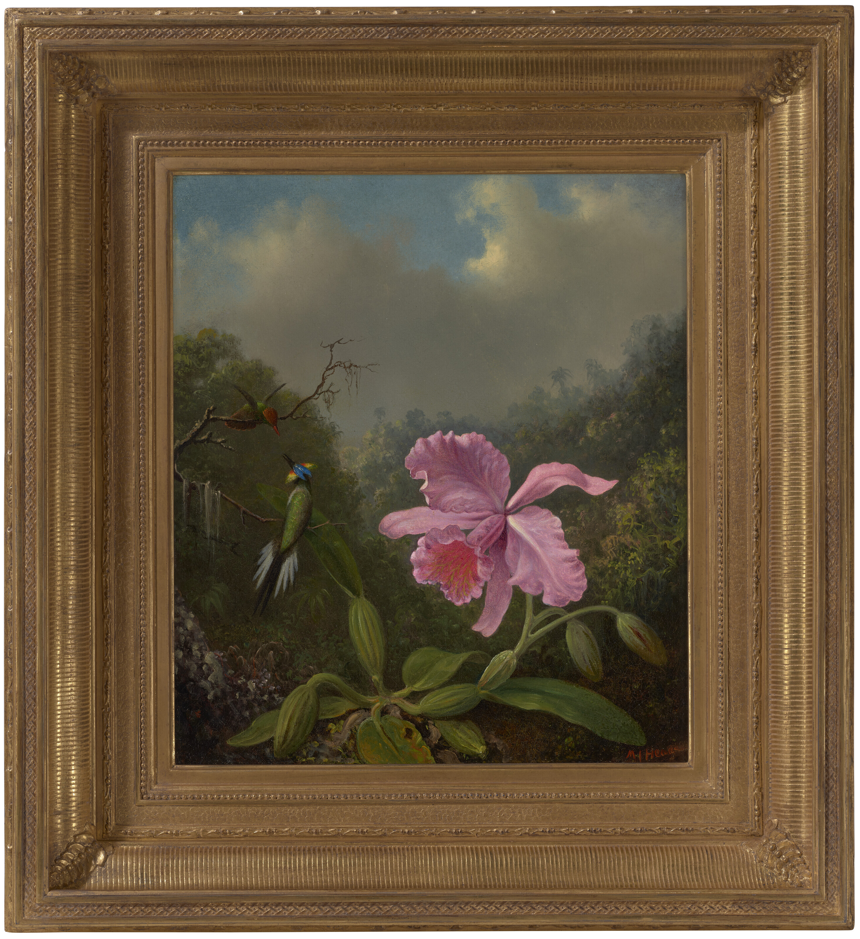 Martin Johnson Heade — Борьба с колибри с помощью розовой орхидеи, изображение 2