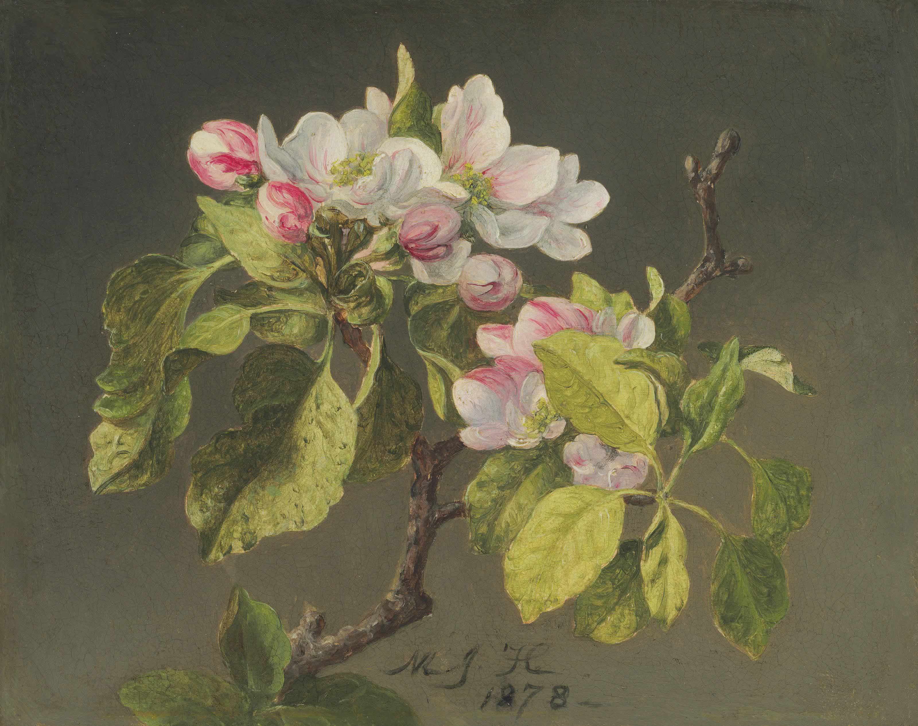 Martin Johnson Heade — Ветка яблони в цвету и бутонах
