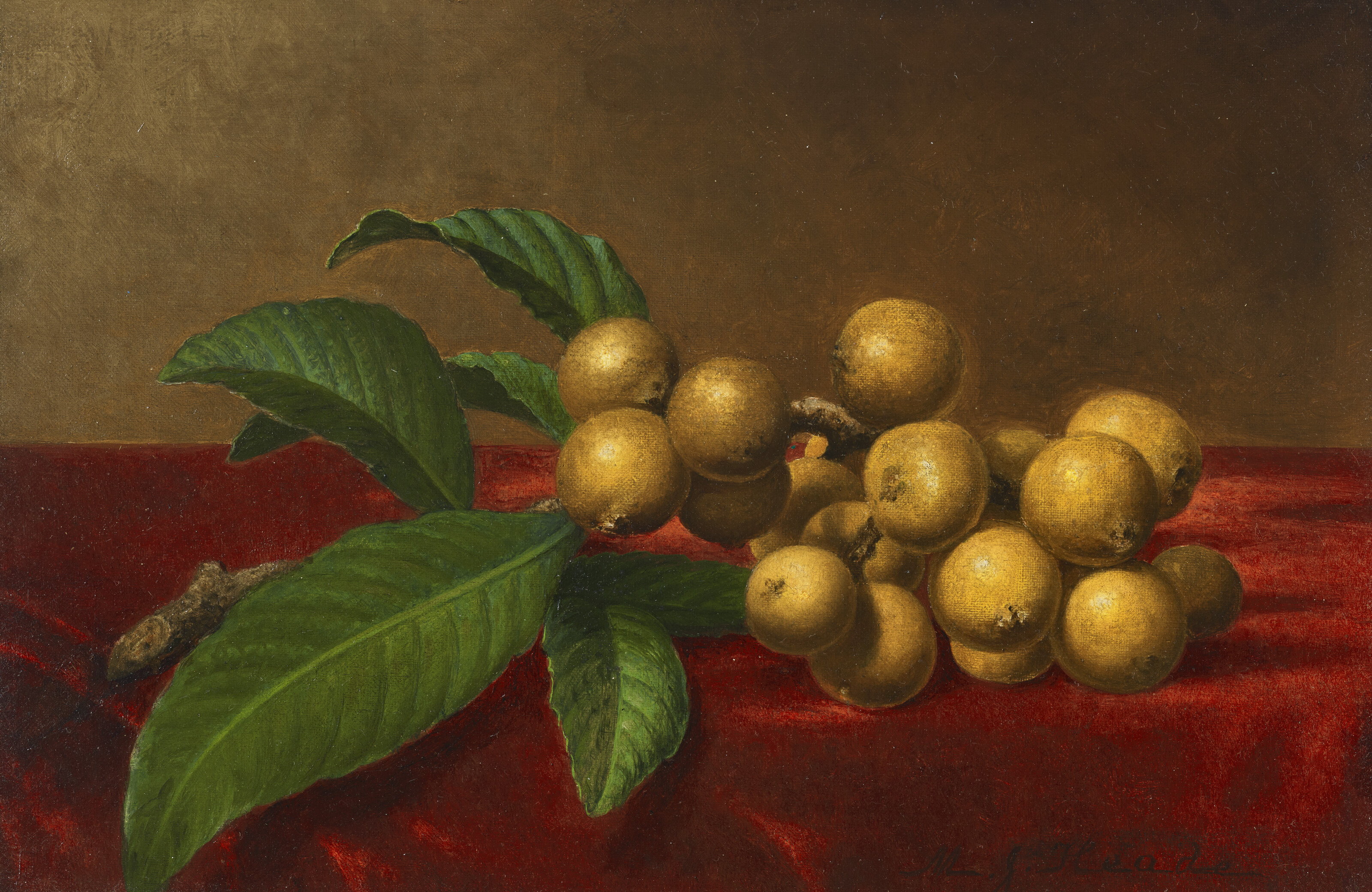 Martin Johnson Heade — Мушмула на красном бархате