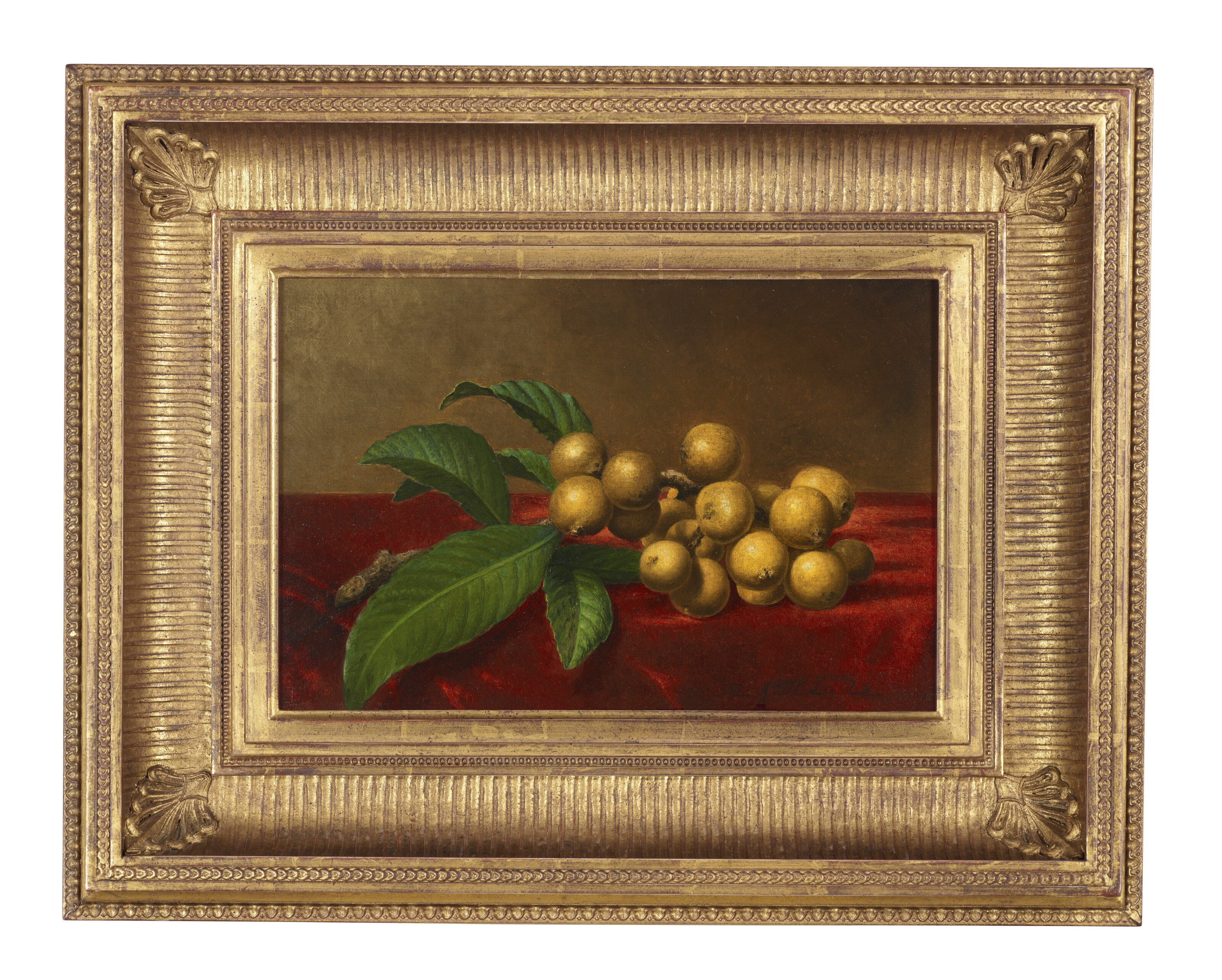 Martin Johnson Heade — Мушмула на красном бархате, изображение 2