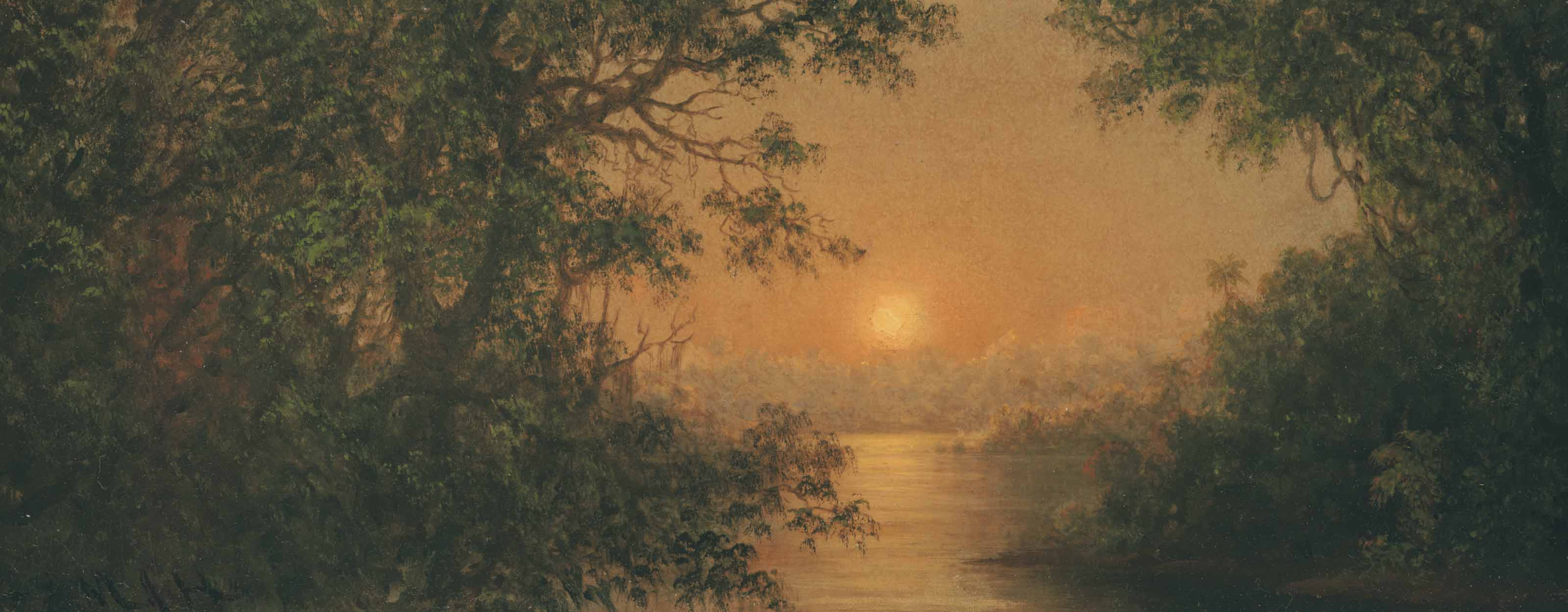 Martin Johnson Heade — Сцена в джунглях