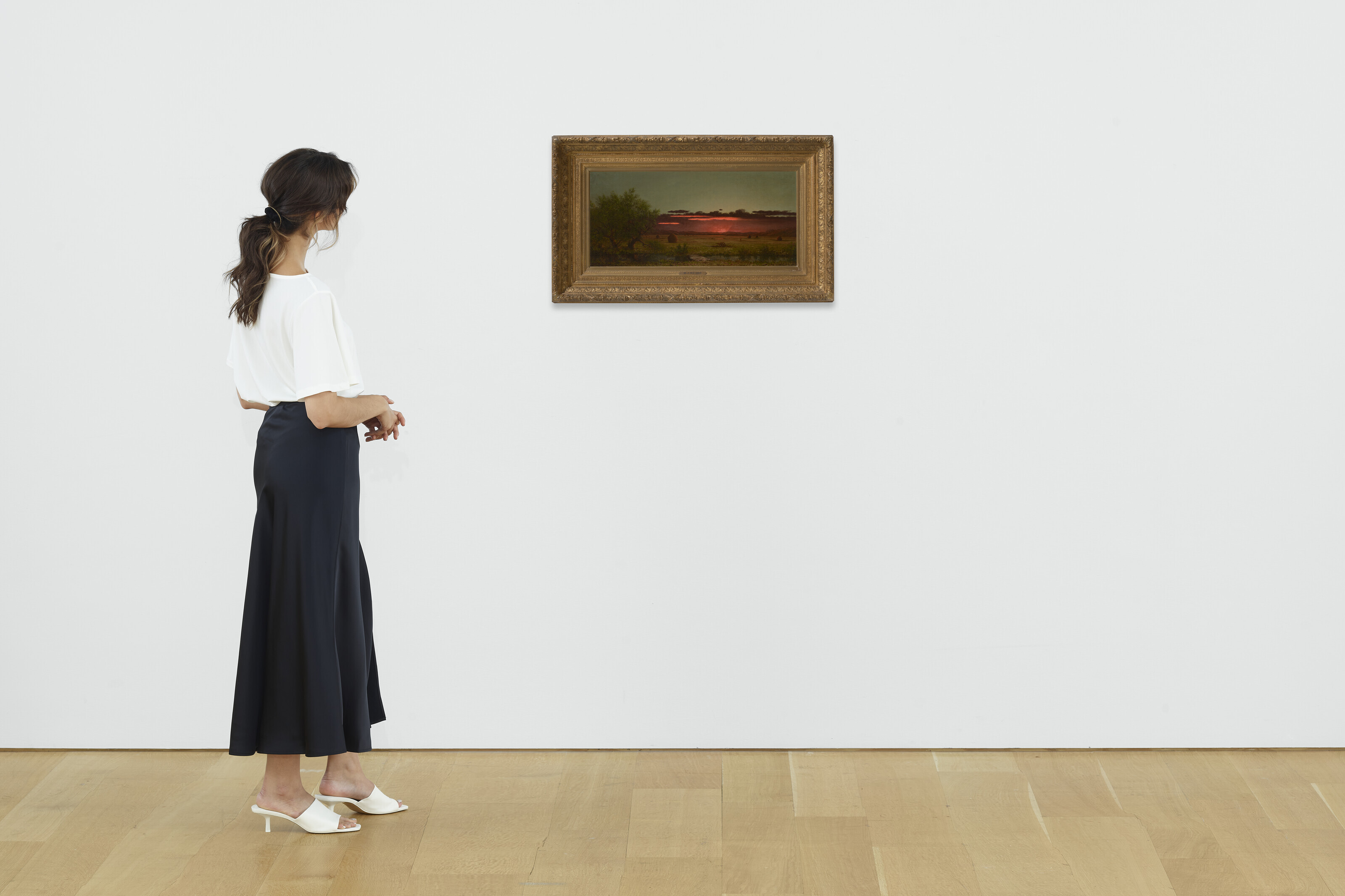 Martin Johnson Heade — Луга Джерси на закате, изображение 4