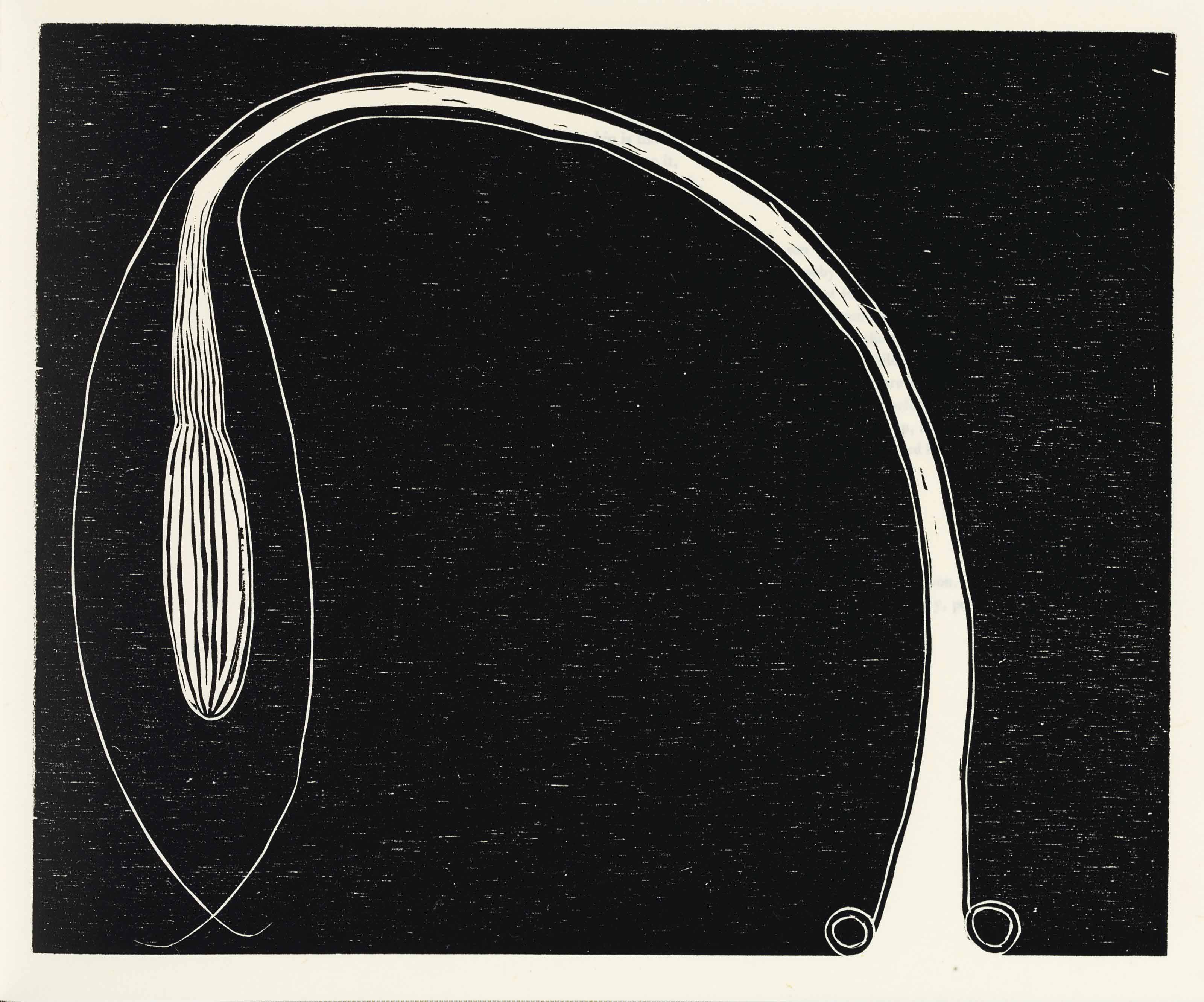Martin Puryear — Тростник