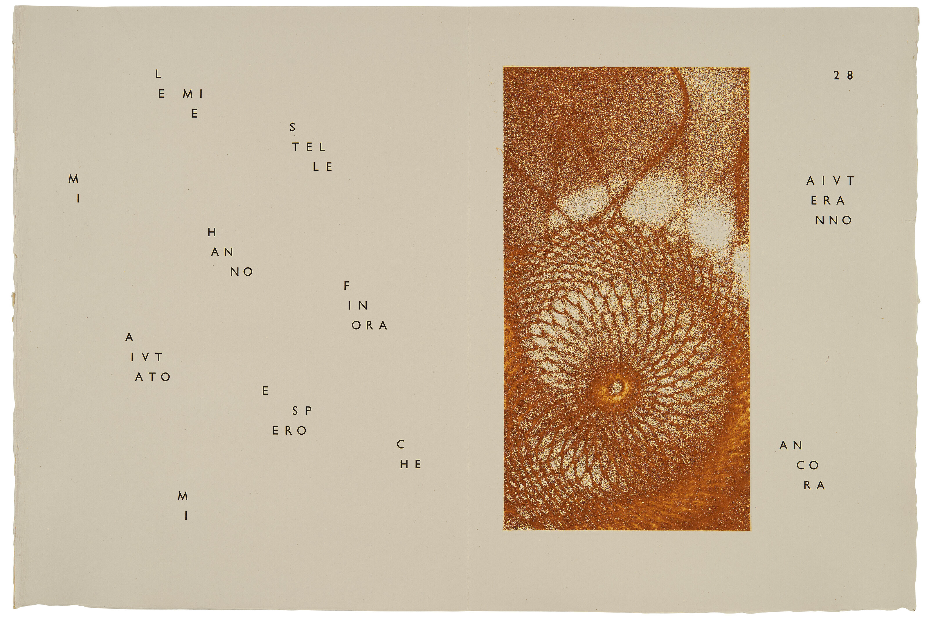 Max Ernst — Гийом Темпель, Максимилиана, вы занимаетесь астрономией, изображение 3