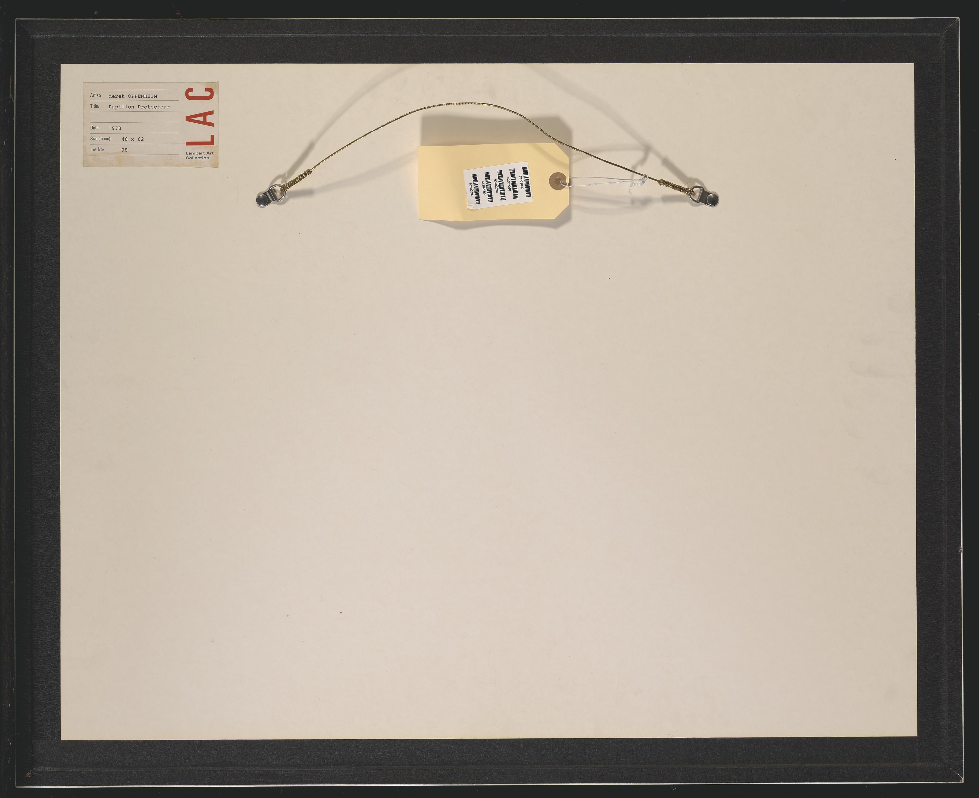 Méret Oppenheim — Защитник папильонов, изображение 2
