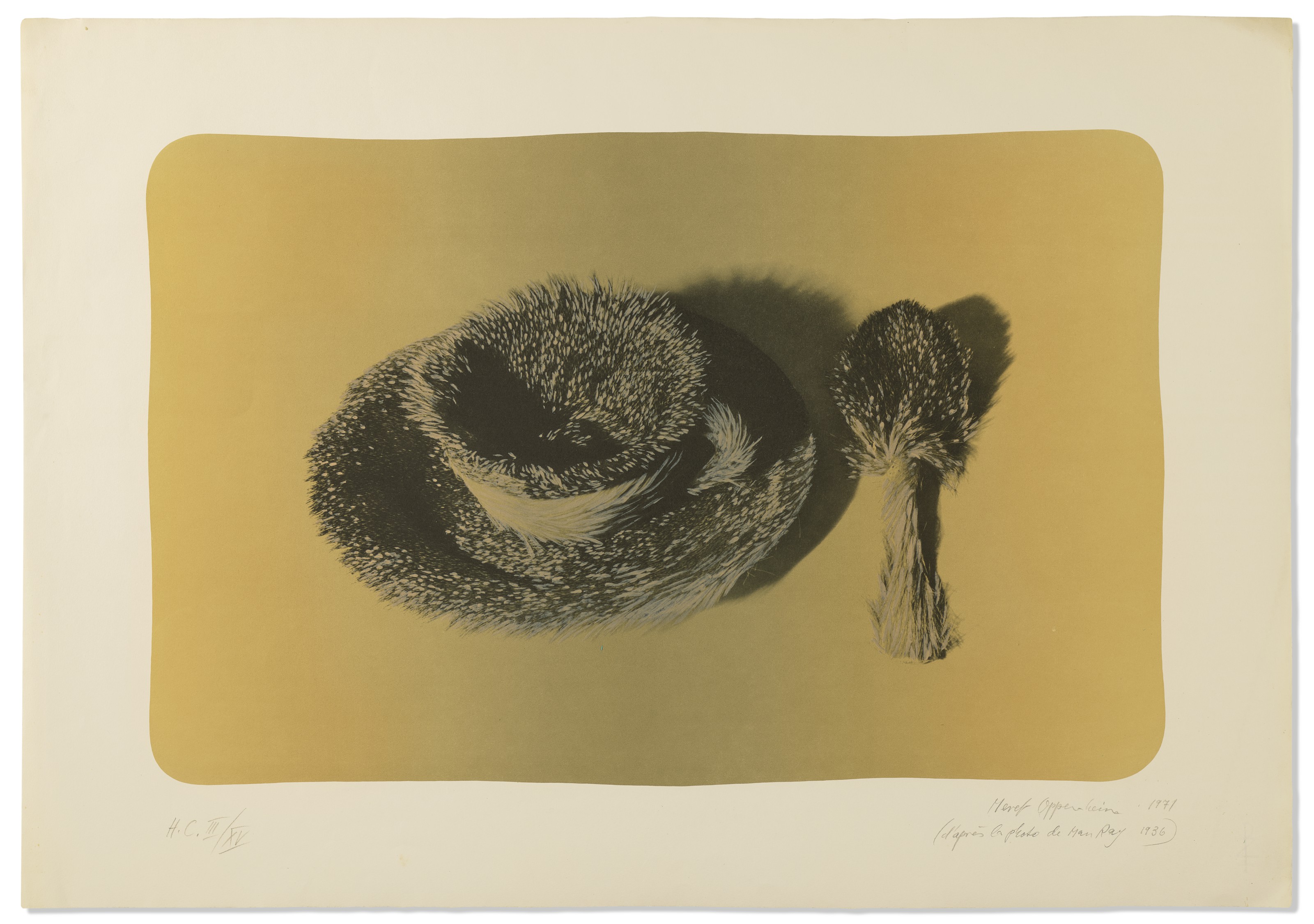 Méret Oppenheim — Пельцтассе (желтый фонд), изображение 4