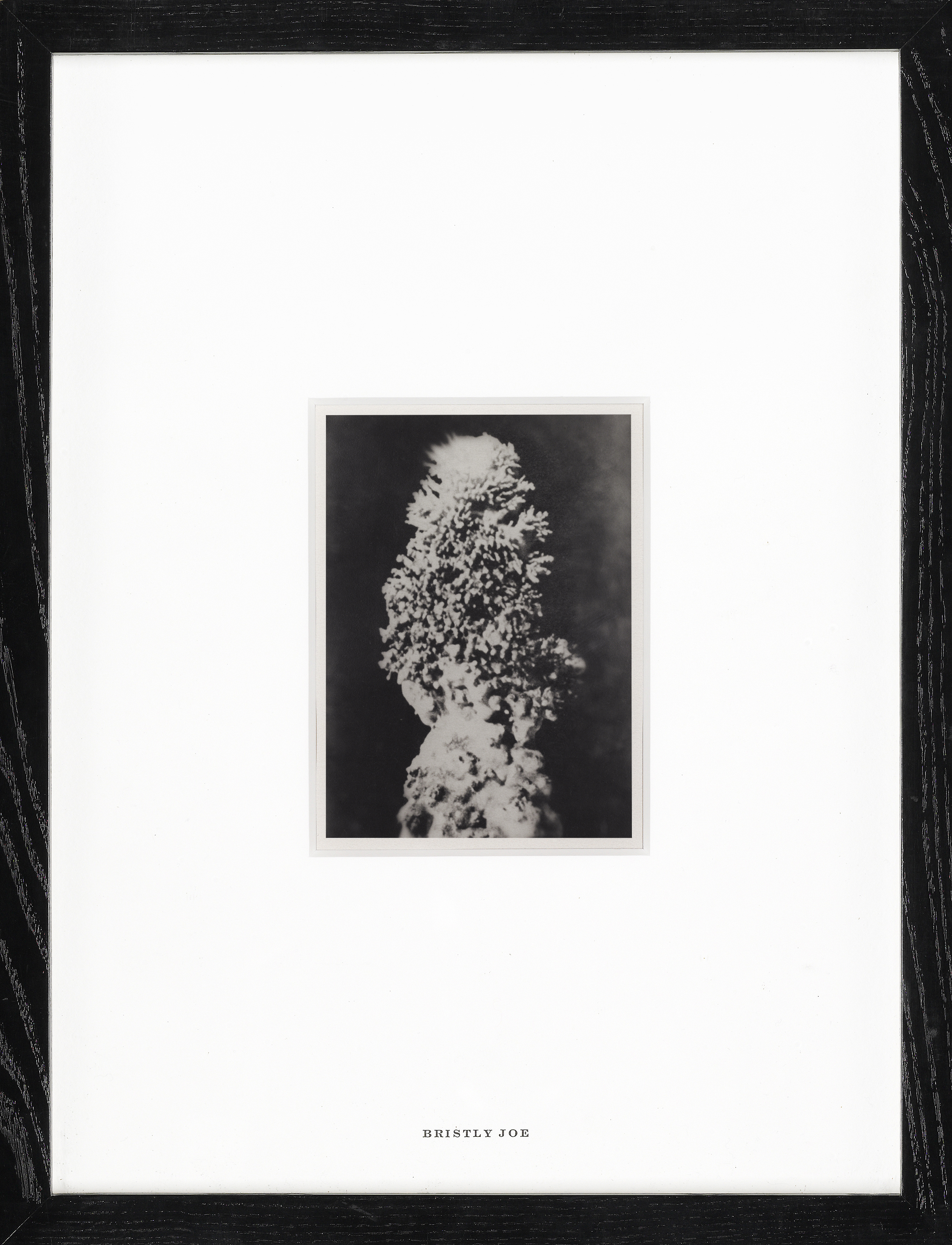 Mike Kelley — Щетинистый Джо (из книги "Поэзия формы: часть продолжающейся попытки разработать авторскую теорию именования серий")