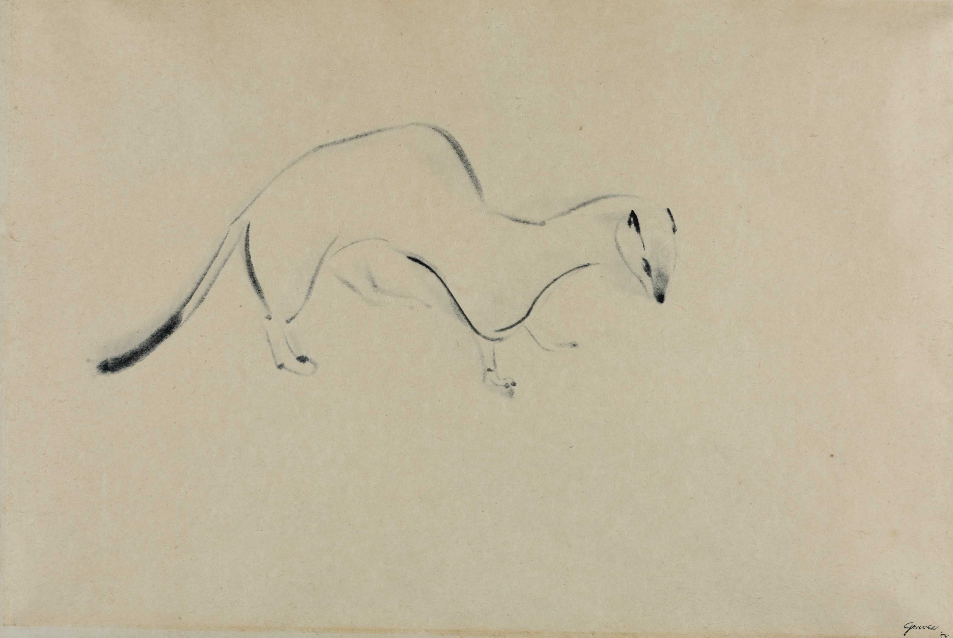 Morris Graves — Горностай
