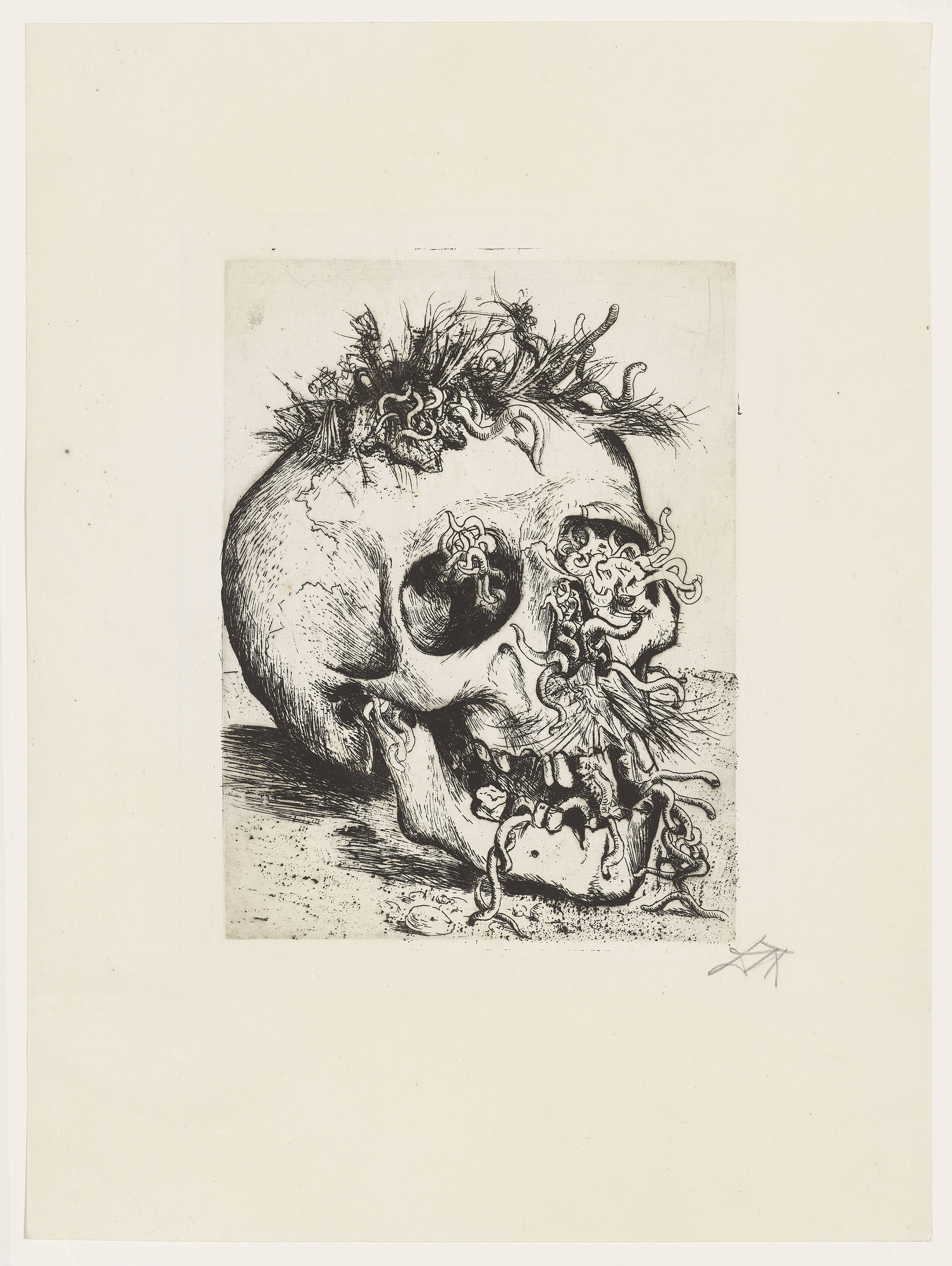 Otto Dix — Дер Криг, изображение 8