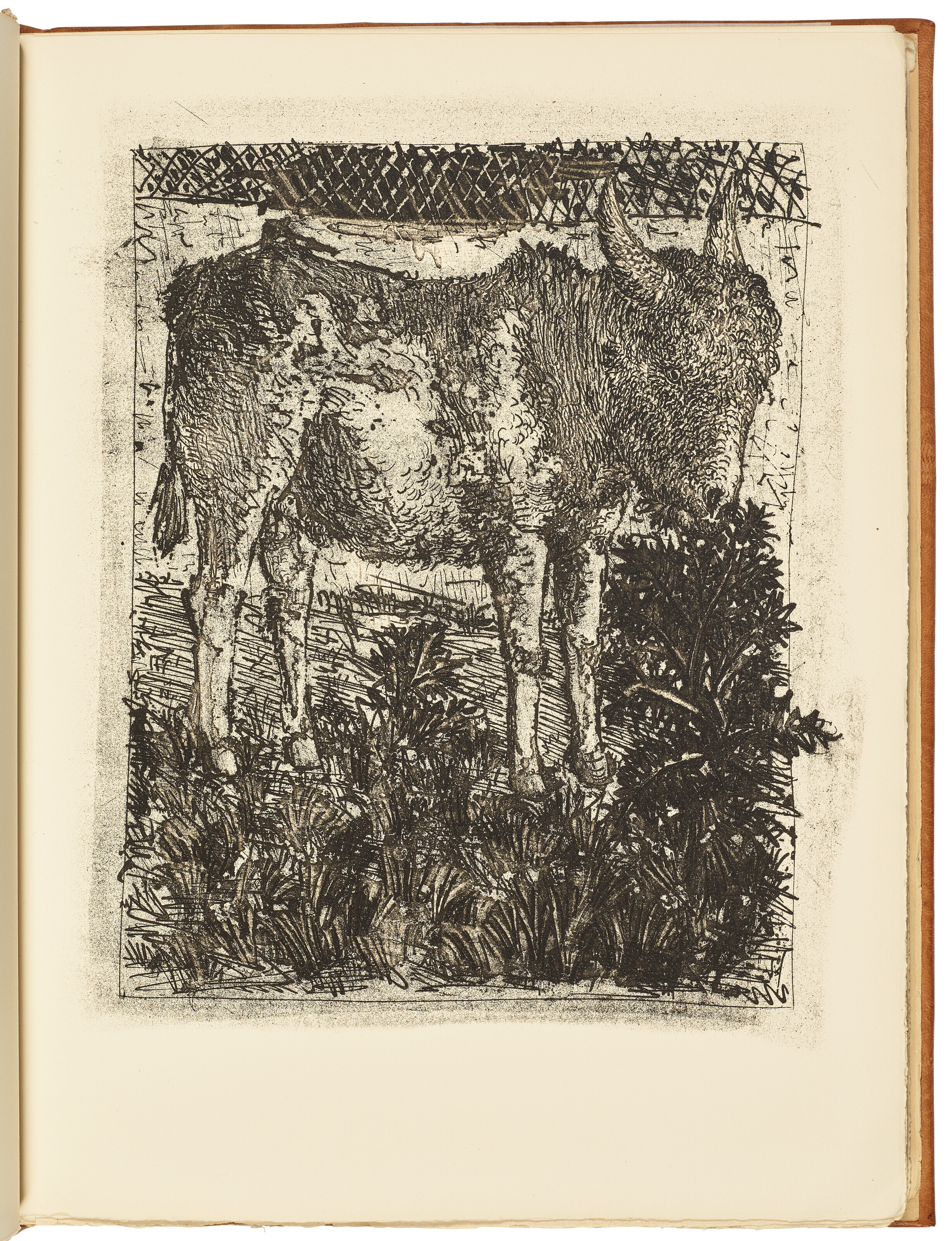 Pablo Picasso — Оригинальные коньячные спирты для текстов Буффона (Естественная история), изображение 2