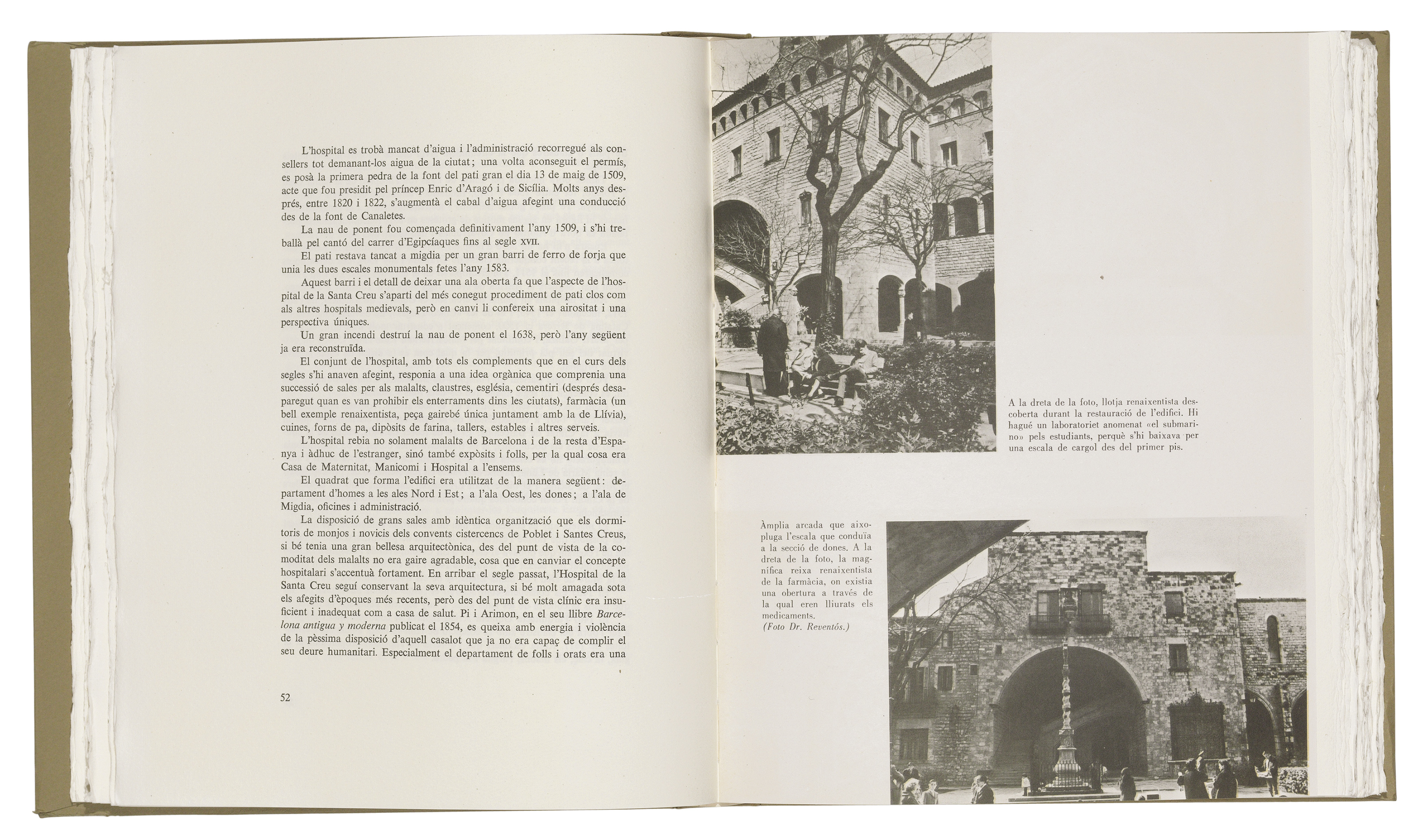 Pablo Picasso — Бюст человека-барбу во вводной части, изображение 2