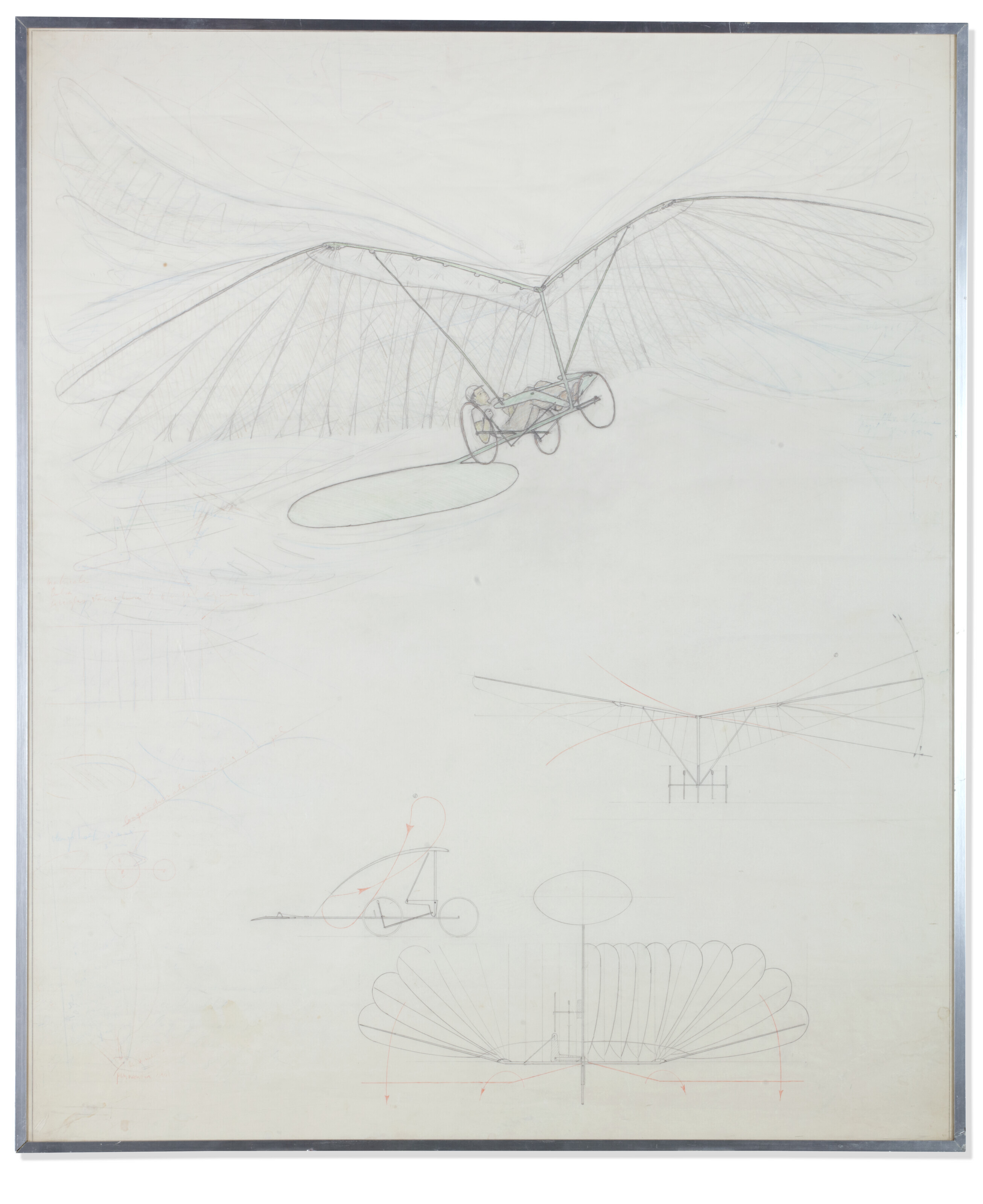 Panamarenko — Короткий размах крыла (Short Wing-Span)