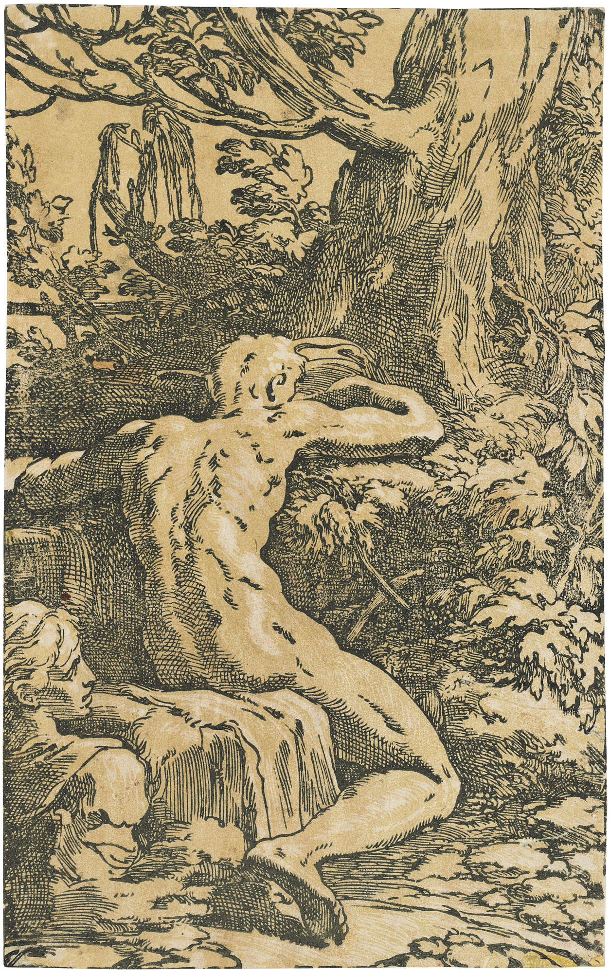 Parmigianino — Обнаженный мужчина, видимый сзади (Нарцисс)