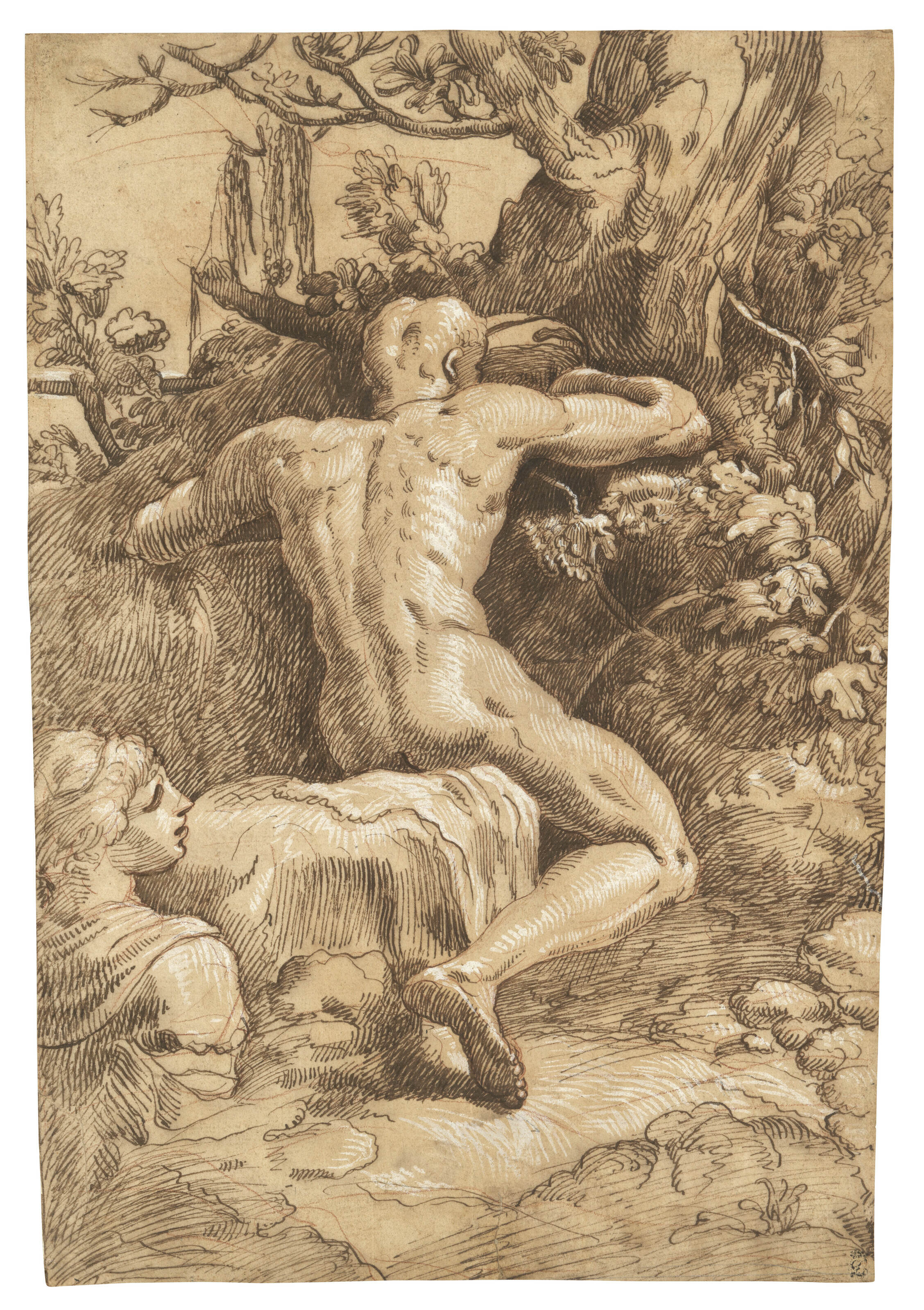 Parmigianino — Обнаженный мужчина, видимый сзади