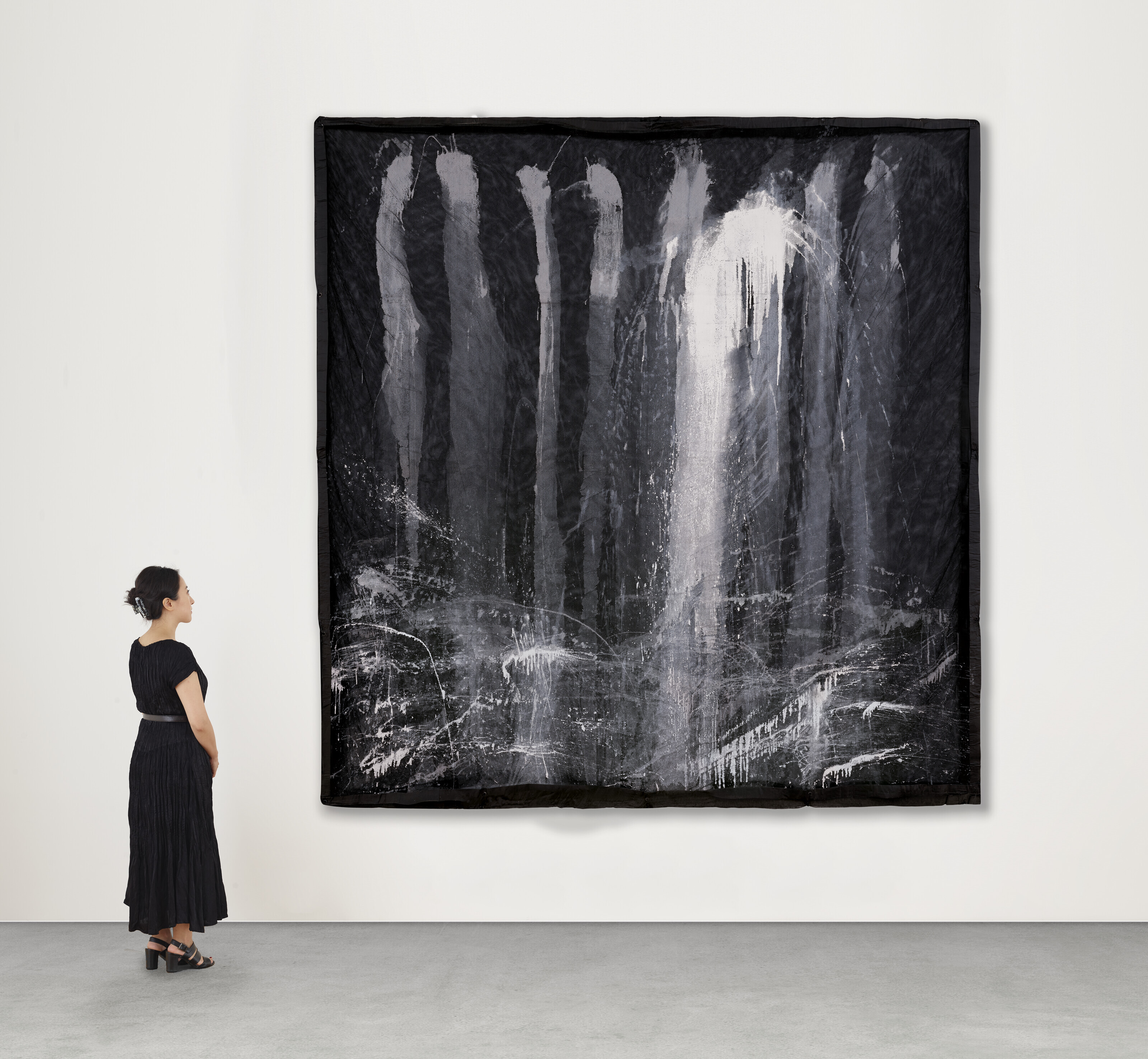 Pat Steir — Камера-обскура, изображение 2