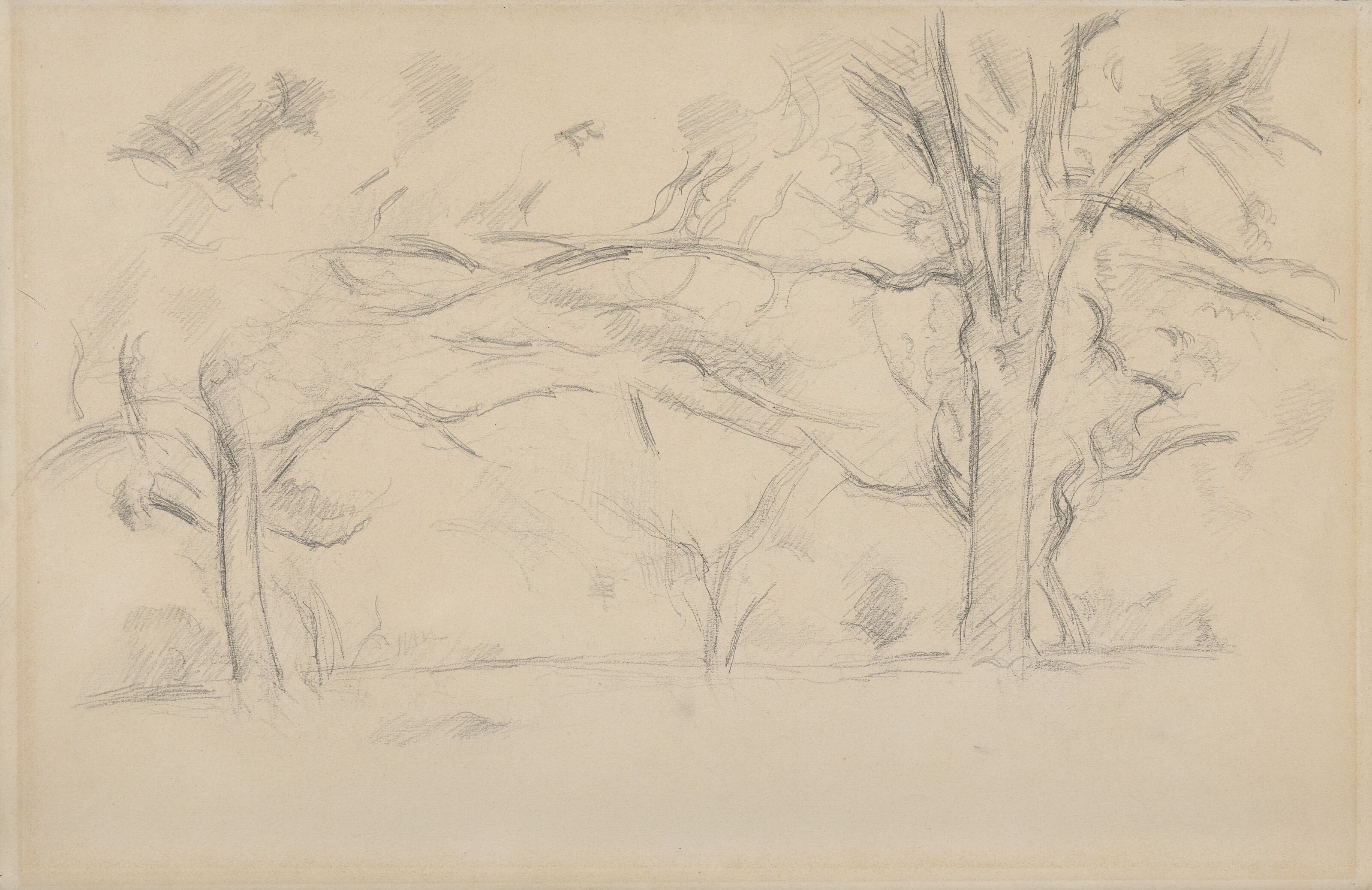 Paul Cézanne — Деревья