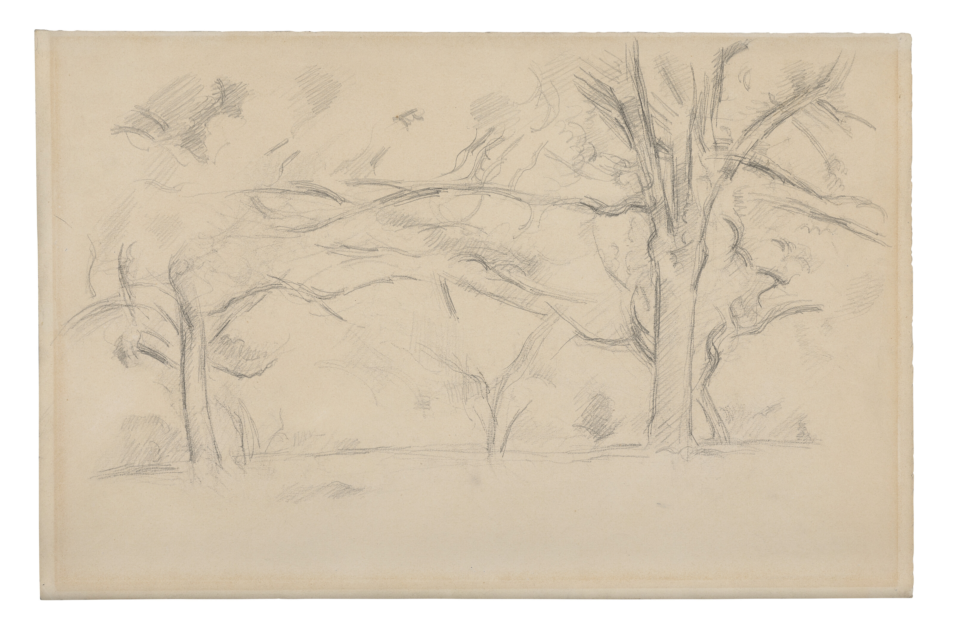 Paul Cézanne — Деревья, изображение 2