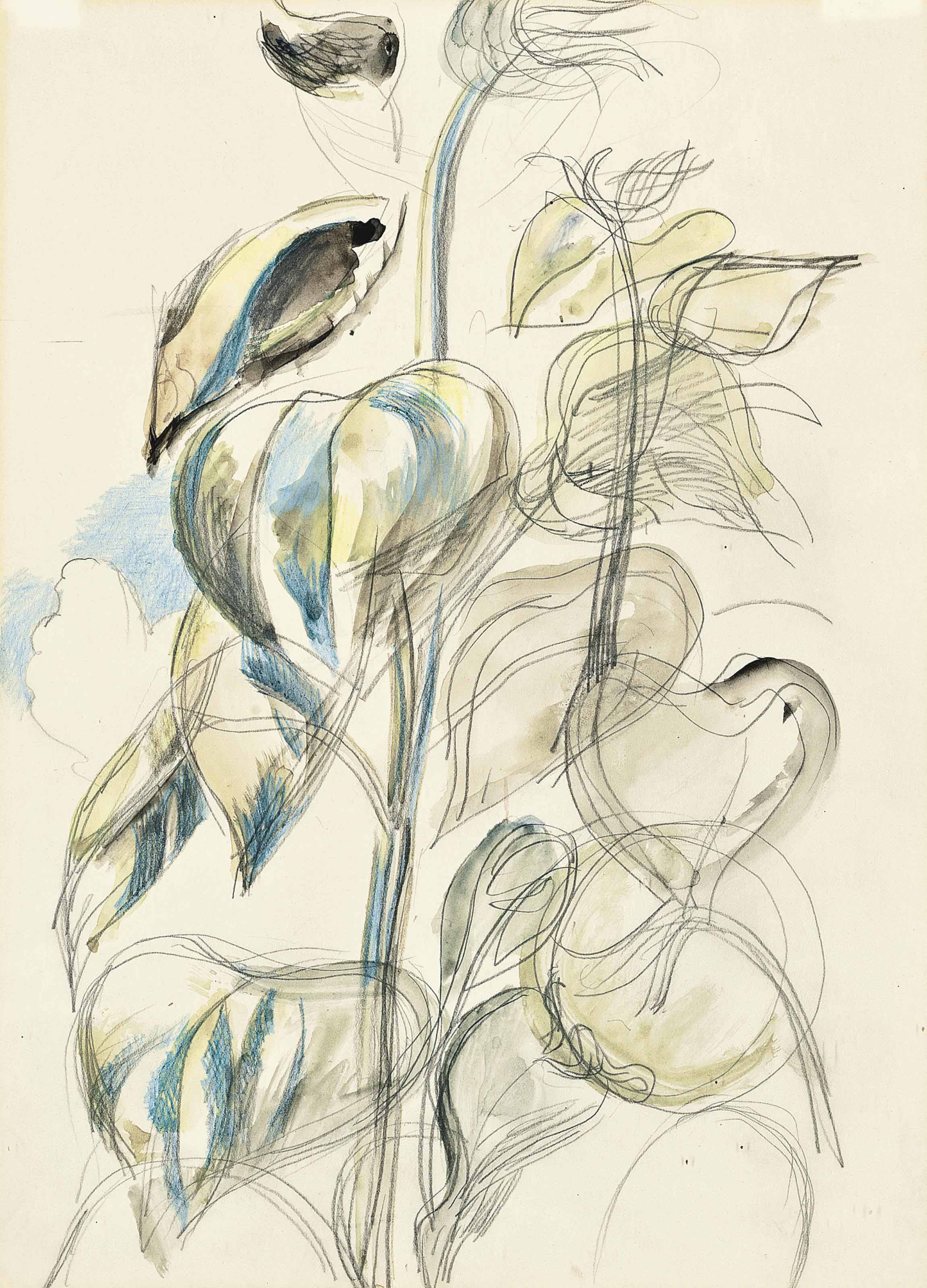 Paul Nash — Подсолнух
