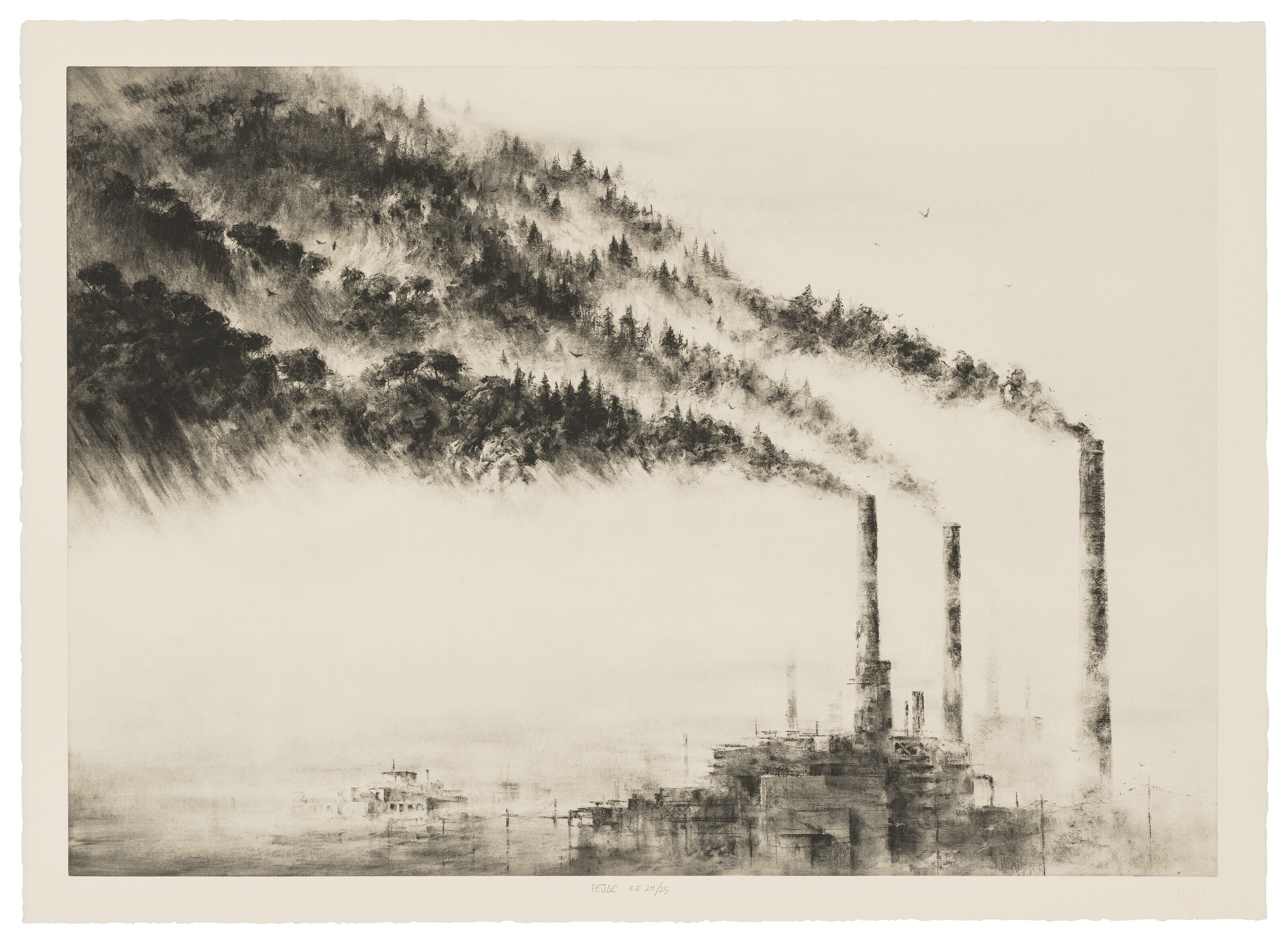 Pejac — Лес (Особое образование)