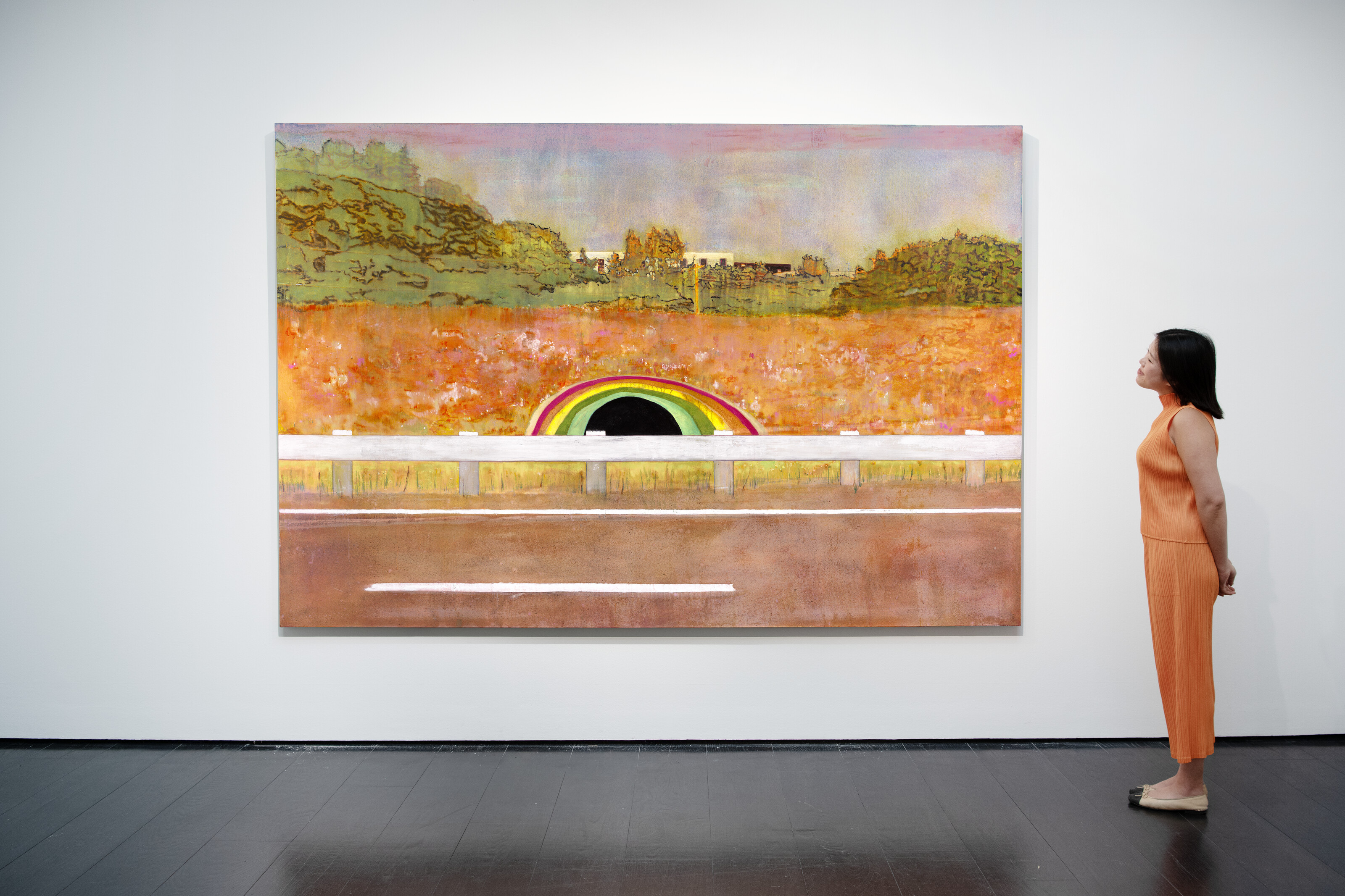 Peter Doig — Кантри-рок, изображение 3