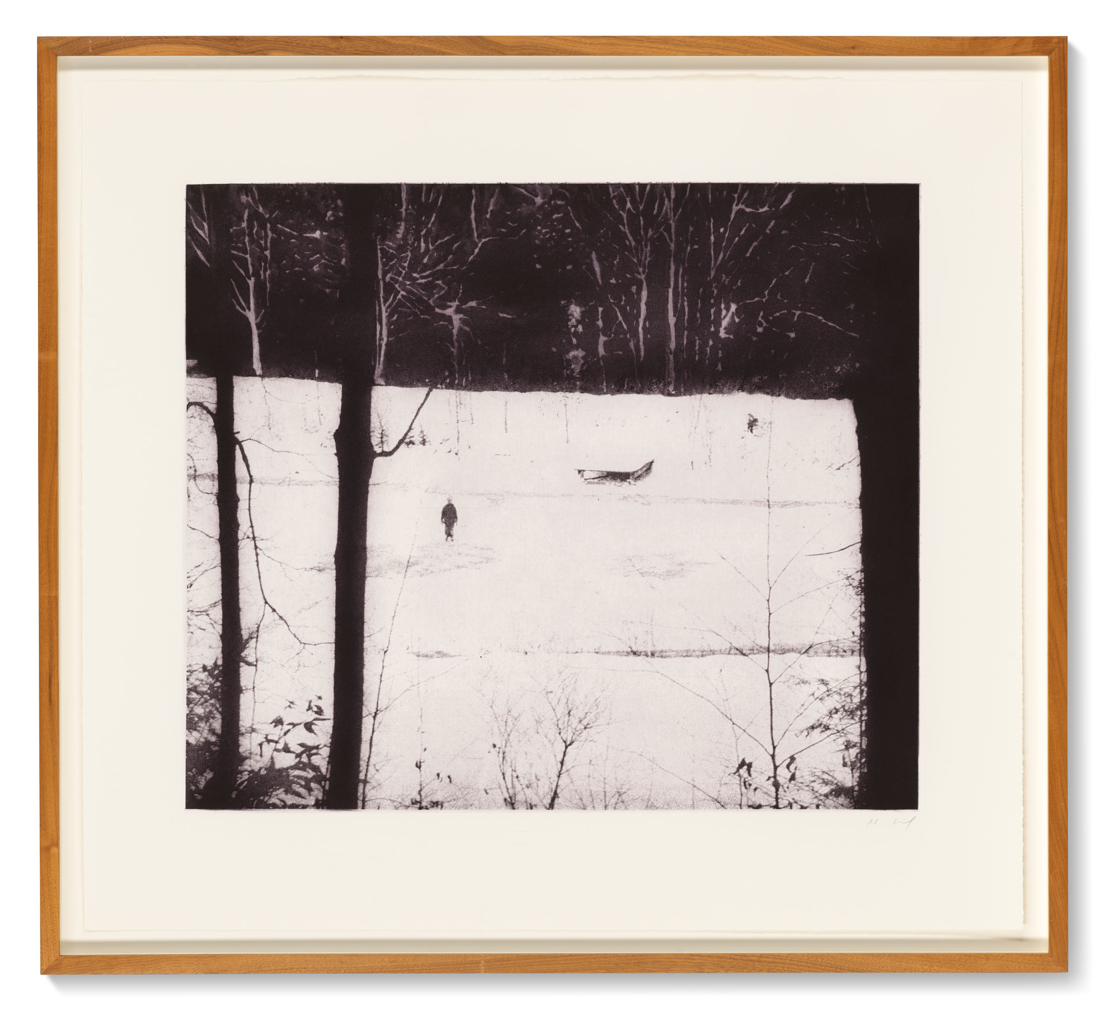 Peter Doig — Почти взрослый, изображение 2