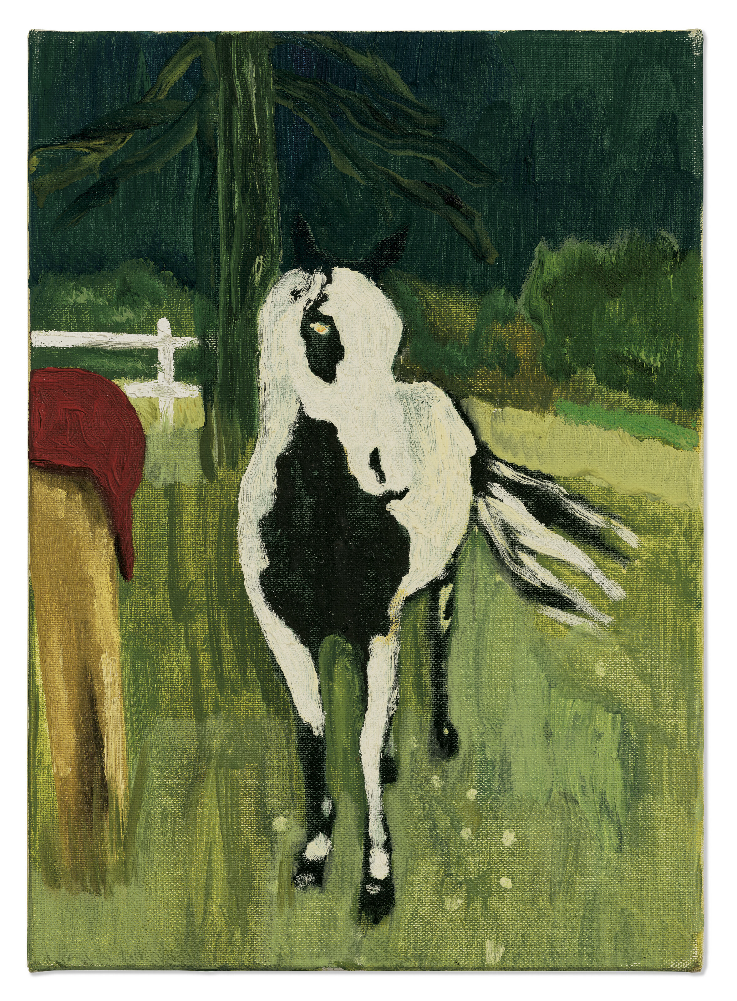 Peter Doig — Косоглазый Пинто