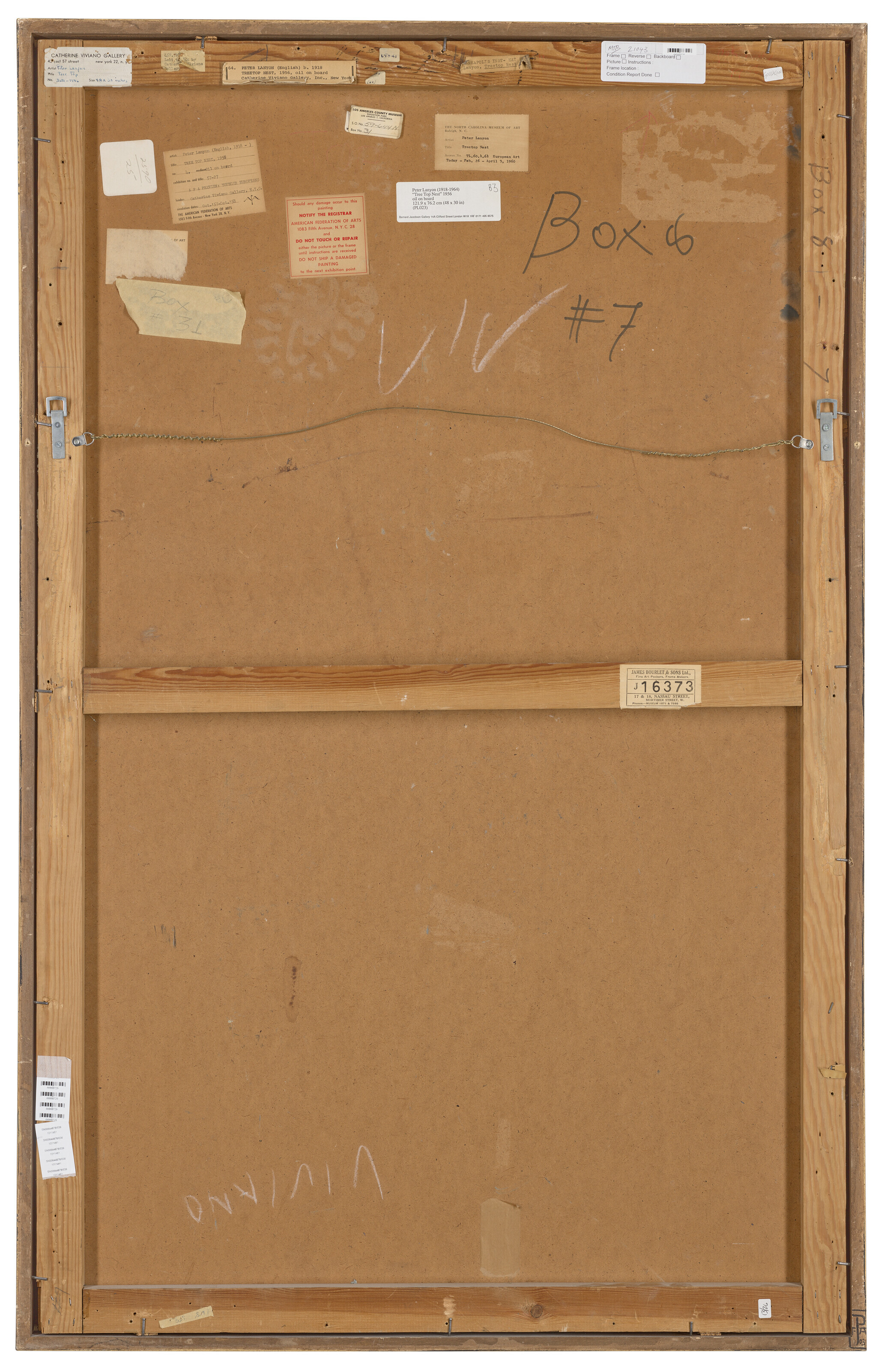 Peter Lanyon — Гнездо на верхушке дерева, изображение 2