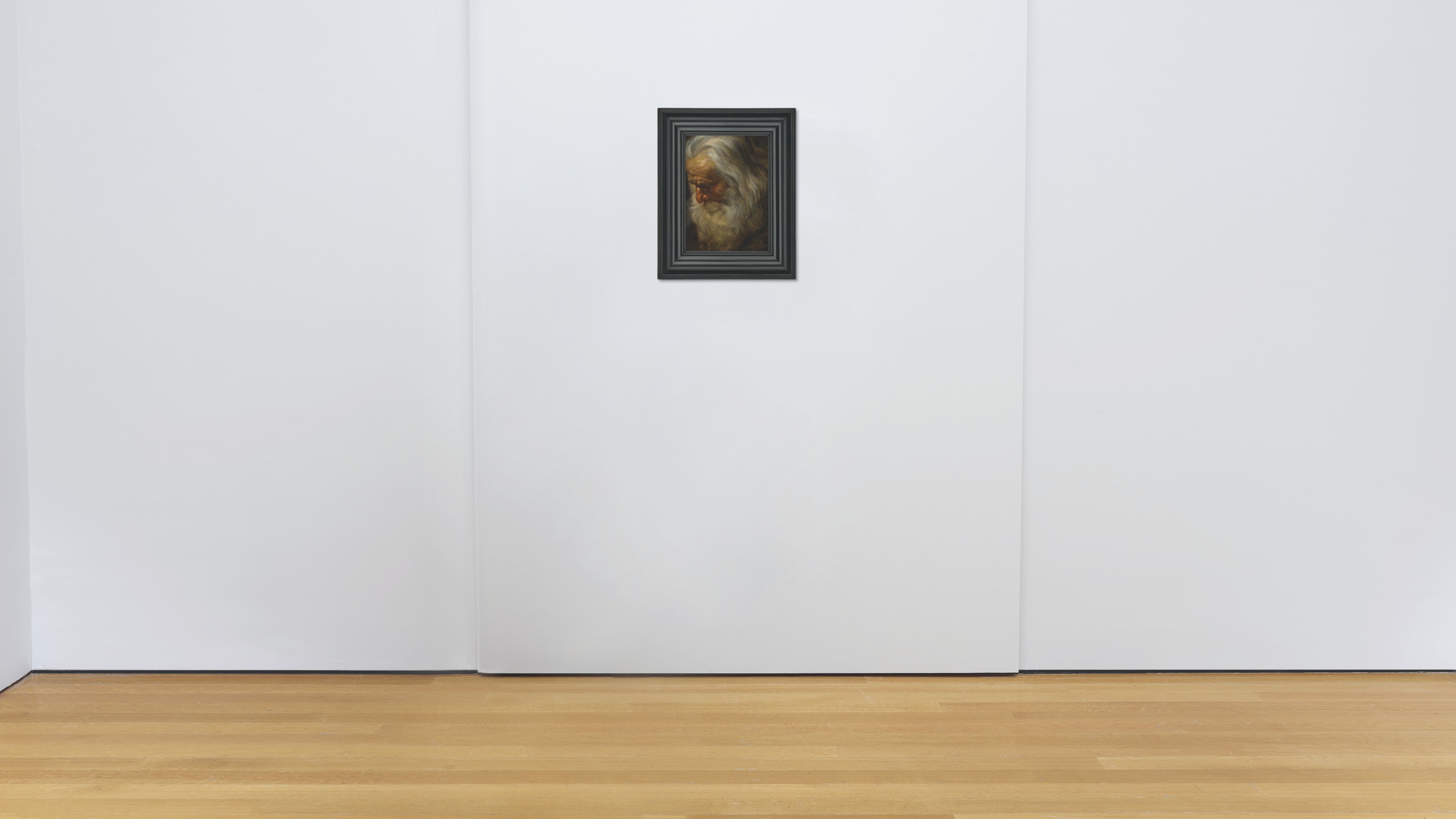Peter Paul Rubens — Главный кабинет бородатого старика, изображение 5