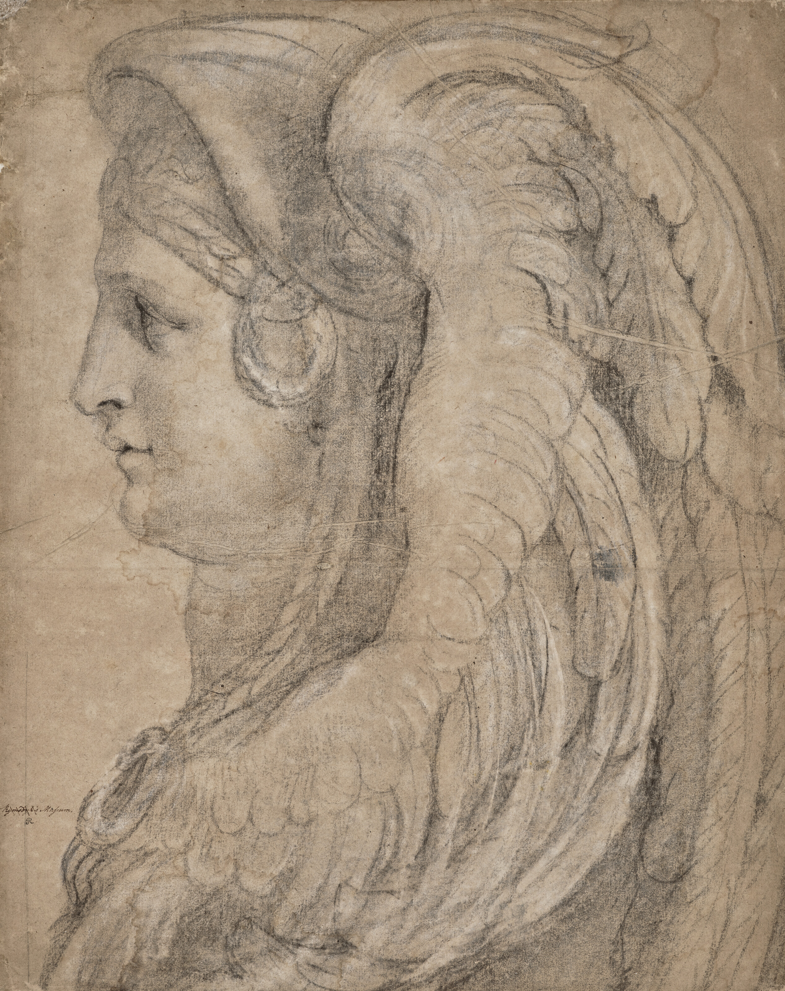Peter Paul Rubens — Голова сфинкса в профиль