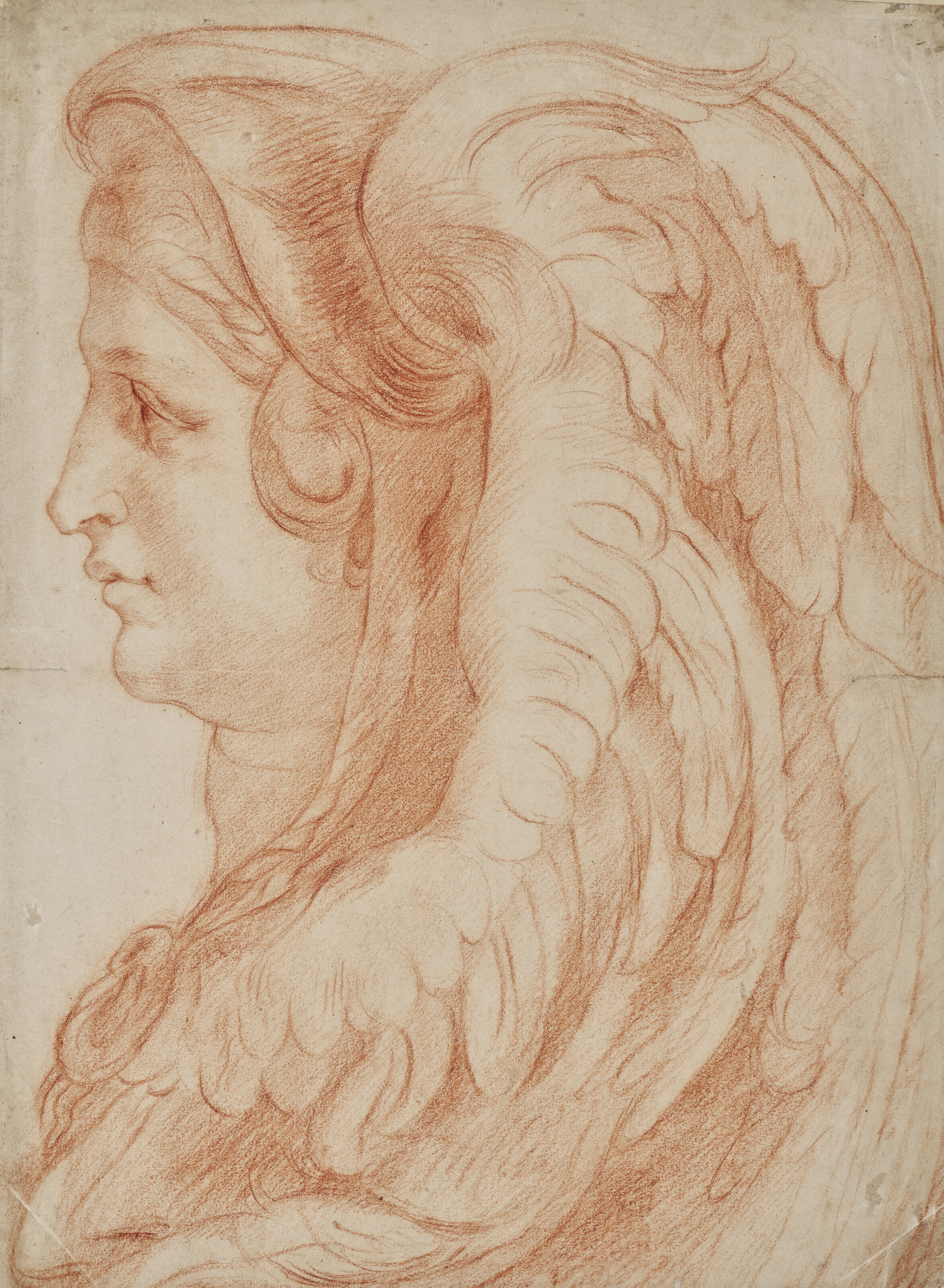 Peter Paul Rubens — Голова сфинкса в профиль, изображение 2