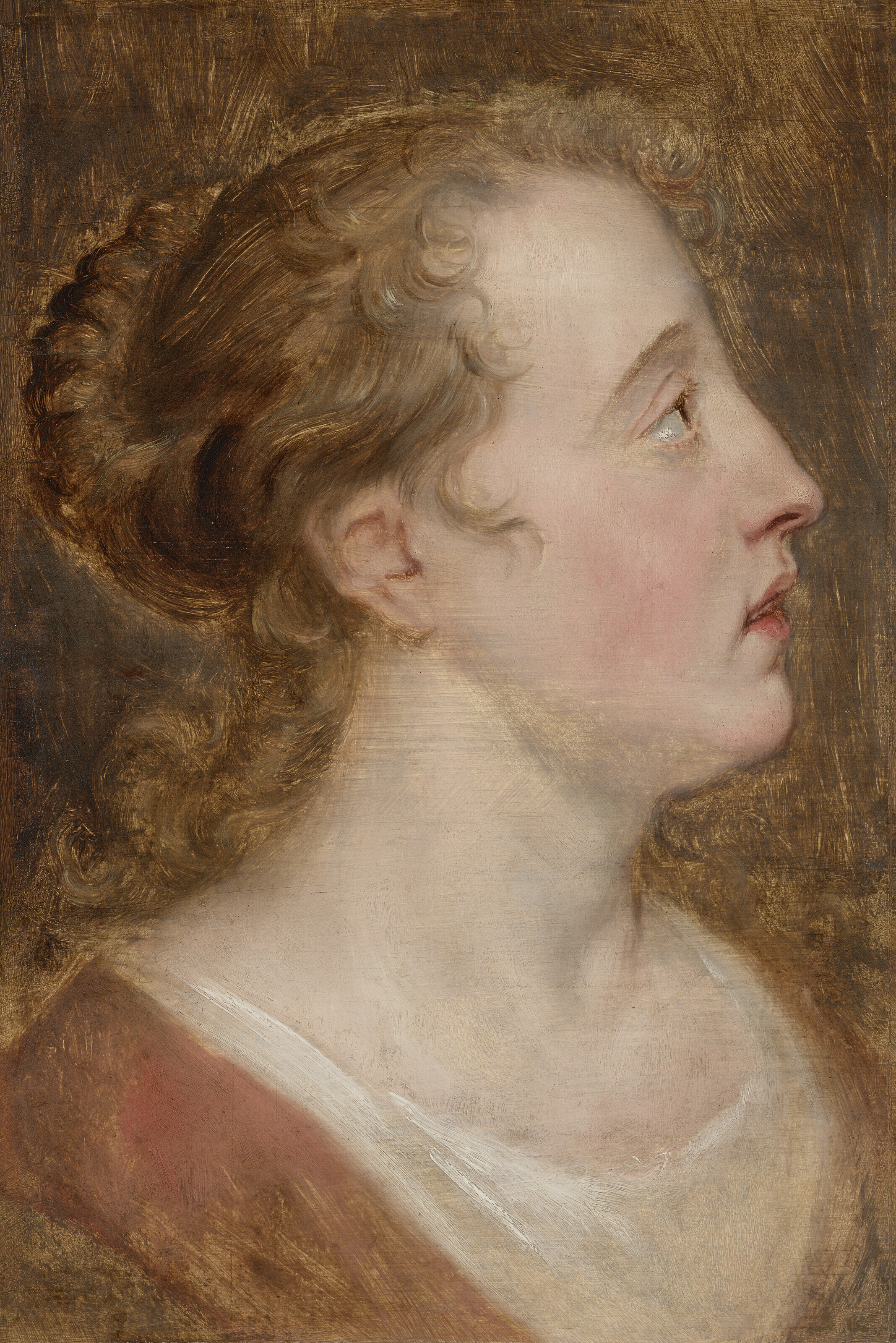 Peter Paul Rubens — Главный кабинет леди