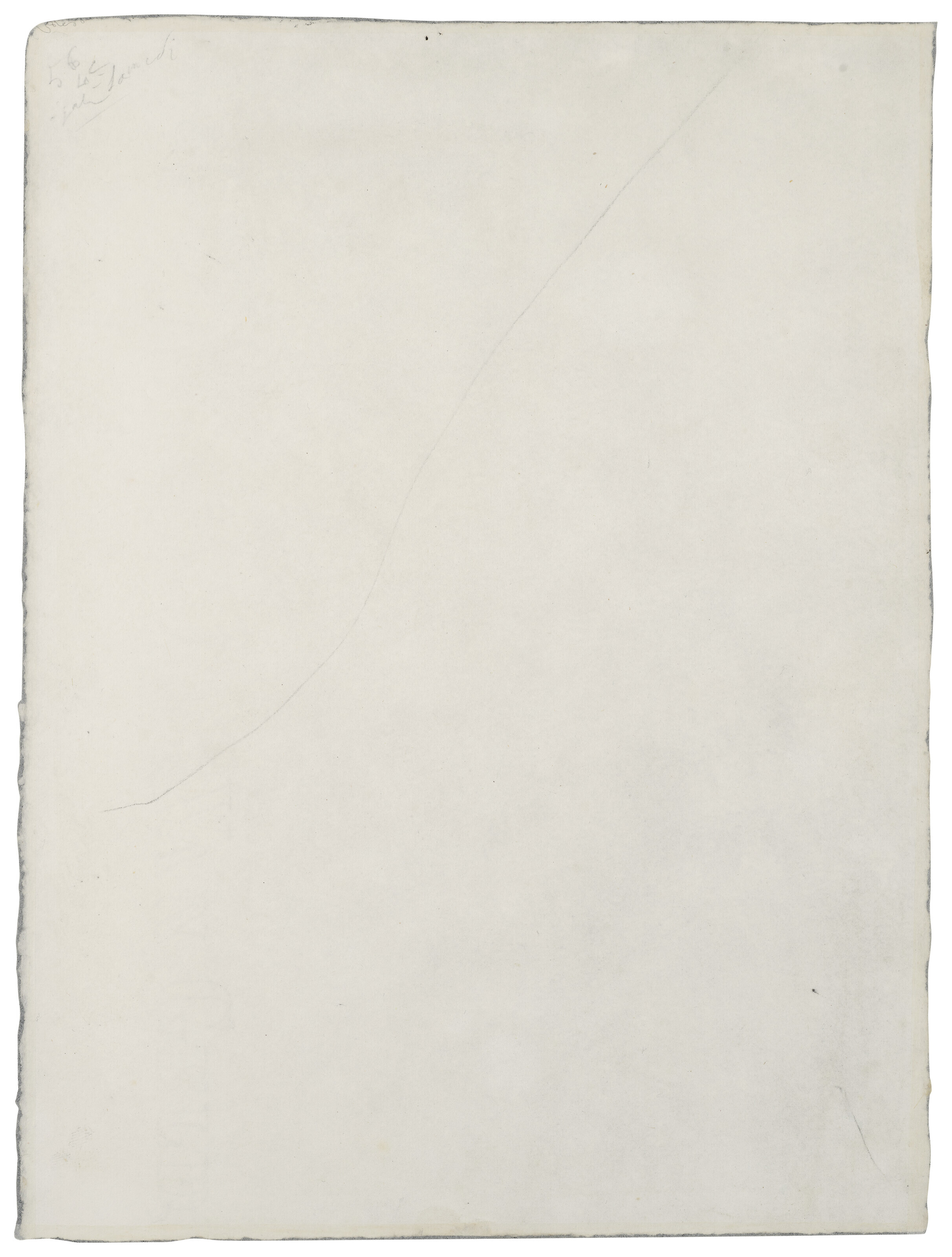 Pierre Bonnard — Профессиональная женщина (Рене Моншати), изображение 3