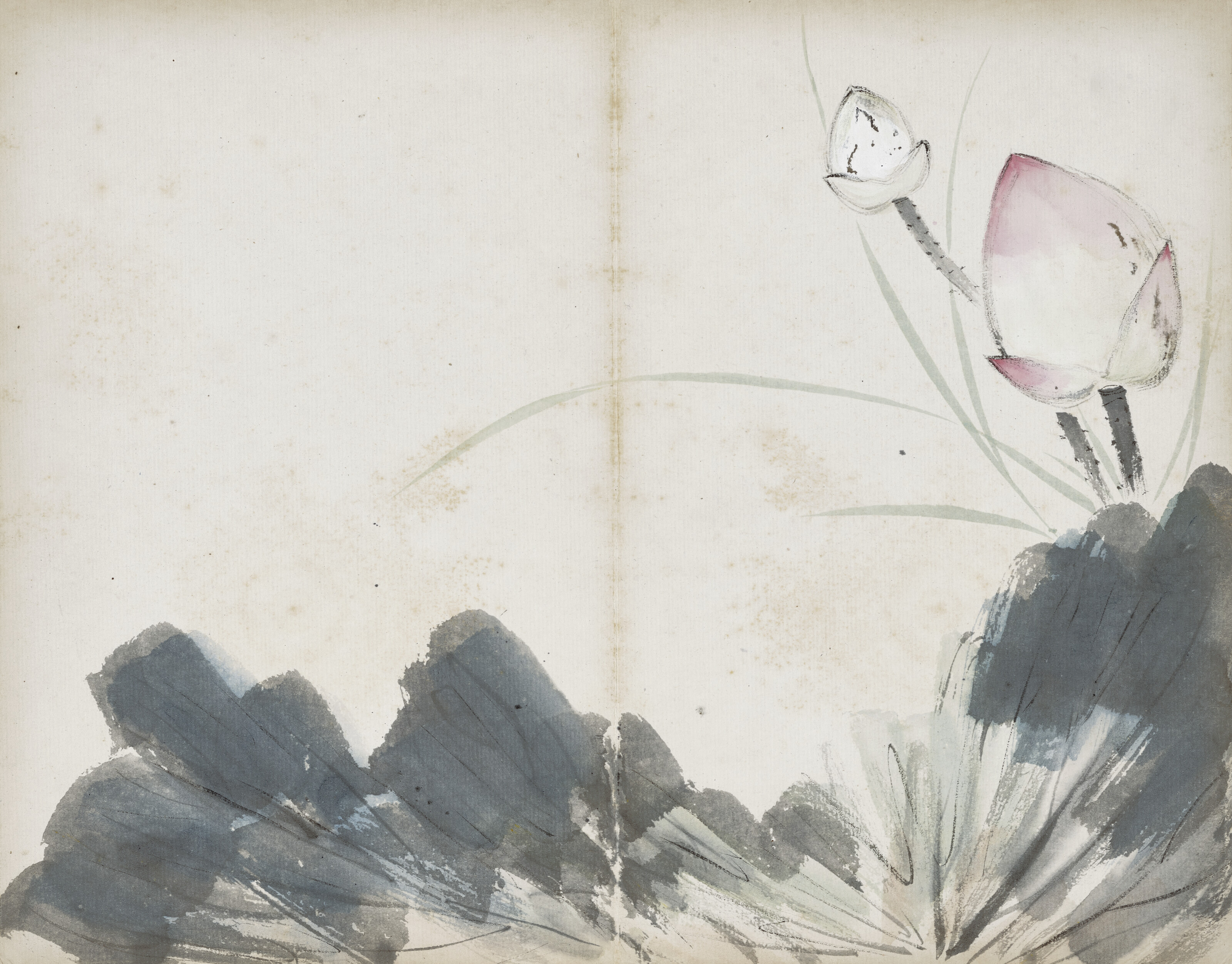 Qi Baishi — Альбом с цветами, изображение 11