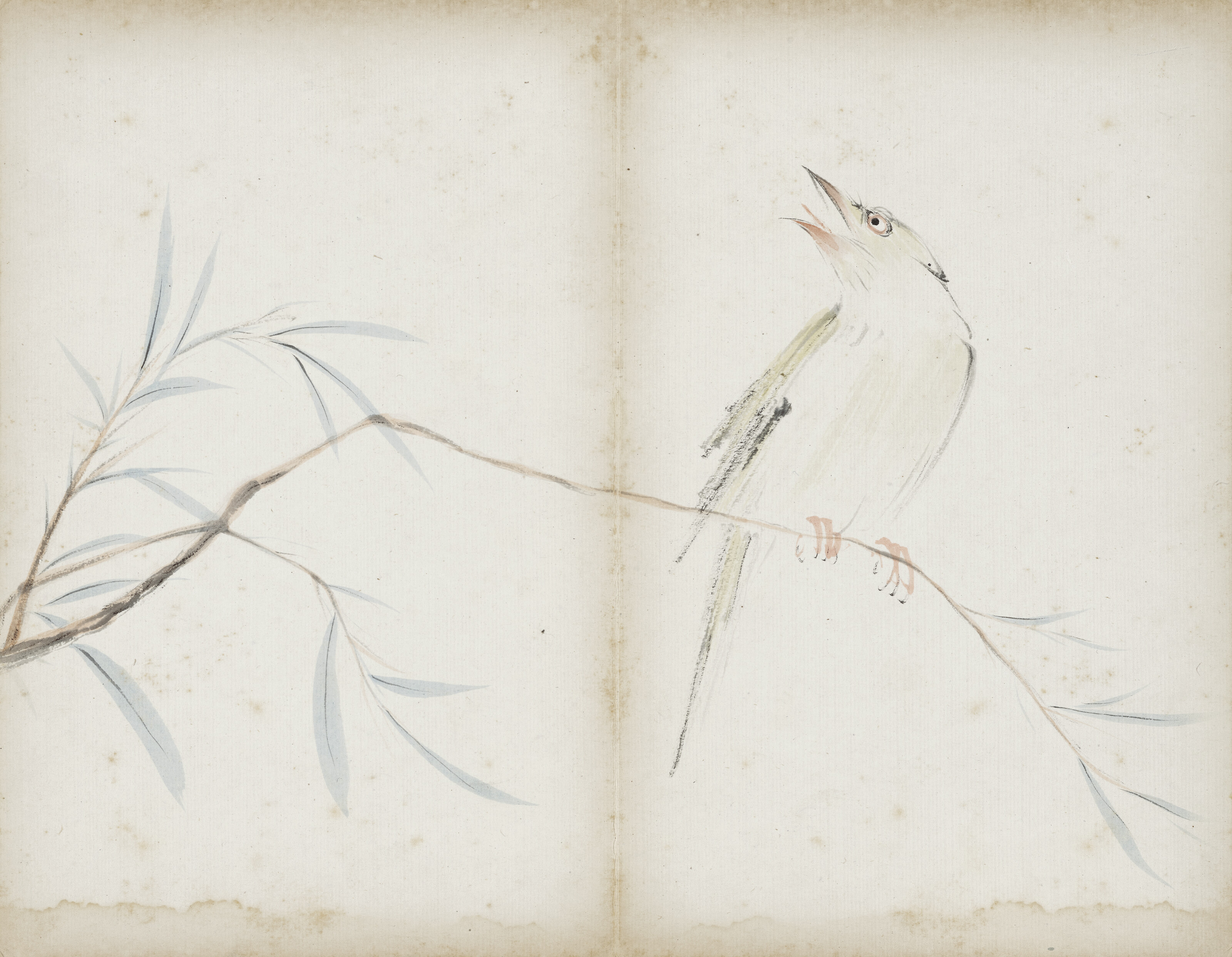 Qi Baishi — Альбом с цветами, изображение 13