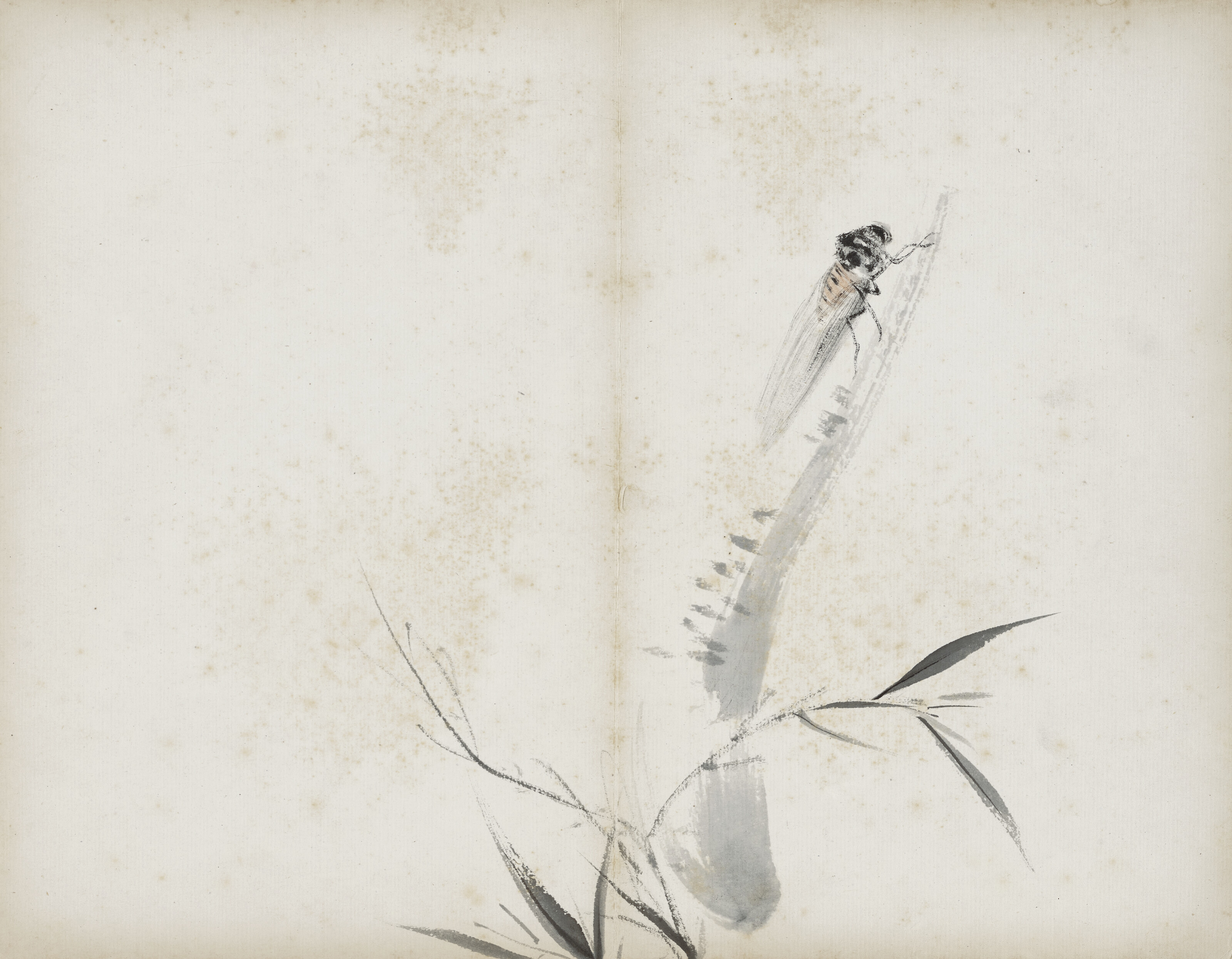Qi Baishi — Альбом с цветами, изображение 14
