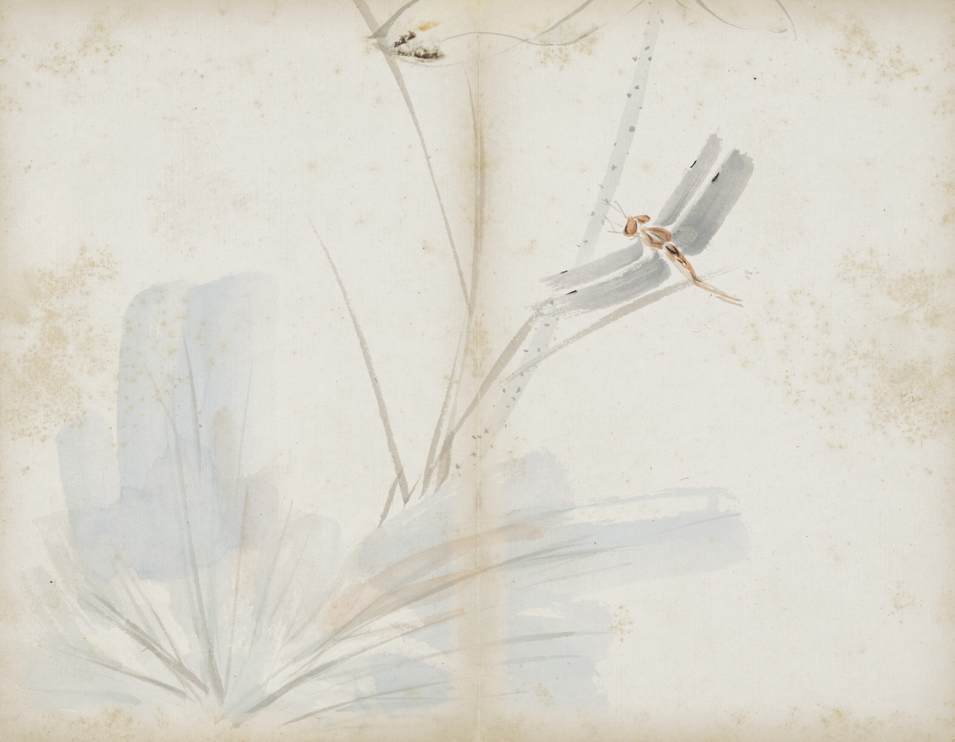 Qi Baishi — Альбом с цветами, изображение 15